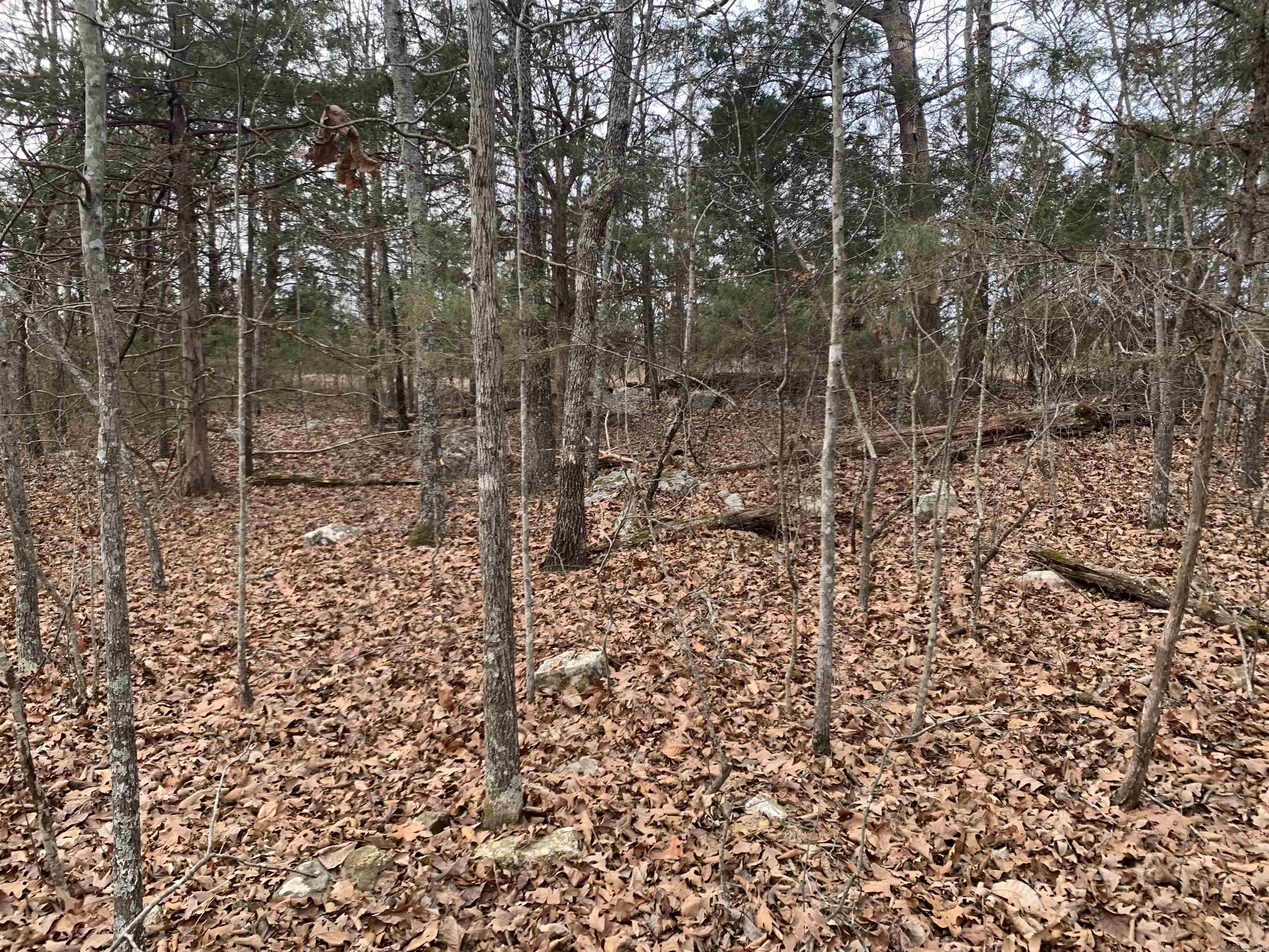 Holiday Hills Estates - Land