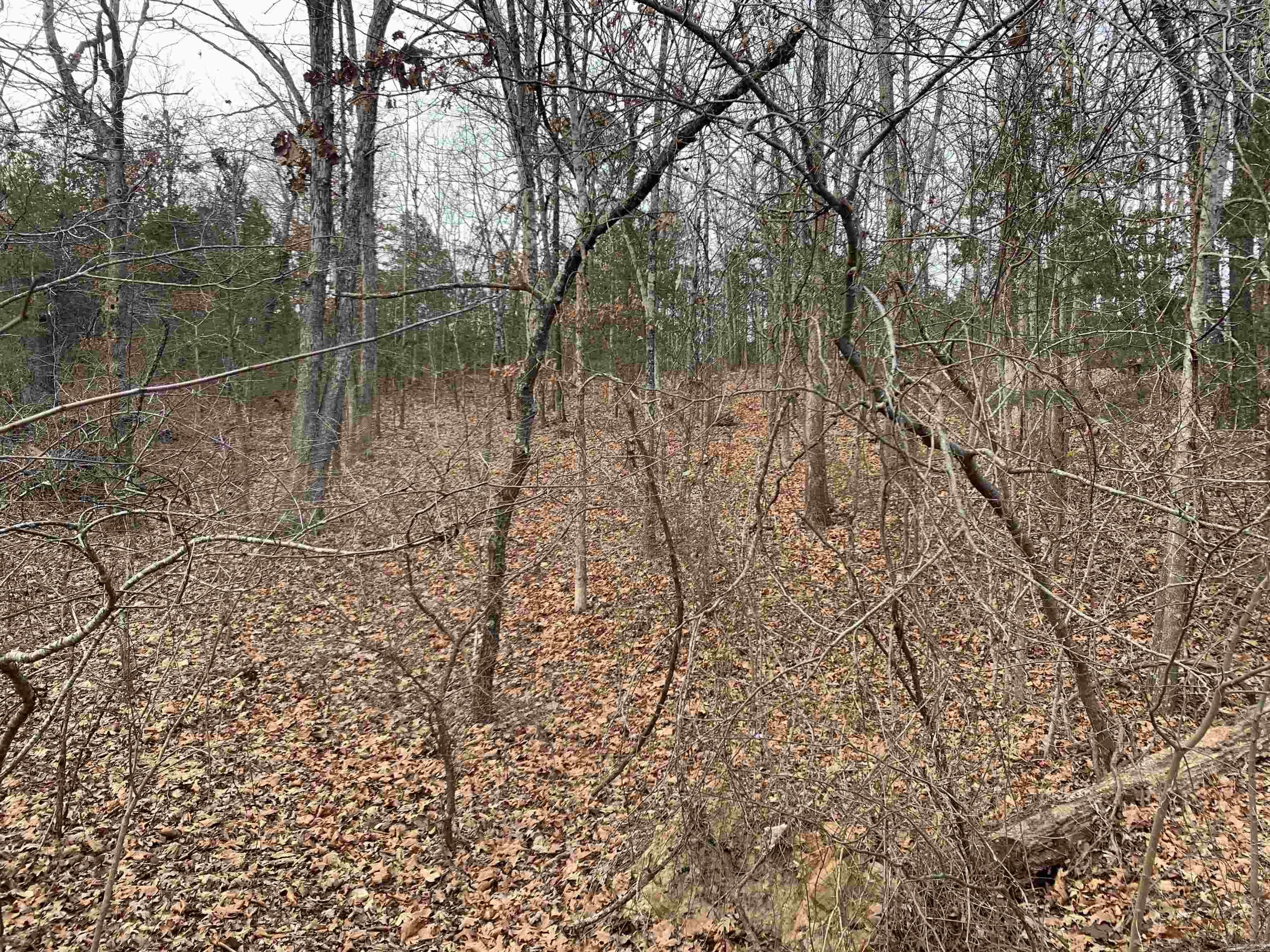 Holiday Hills Estates - Land