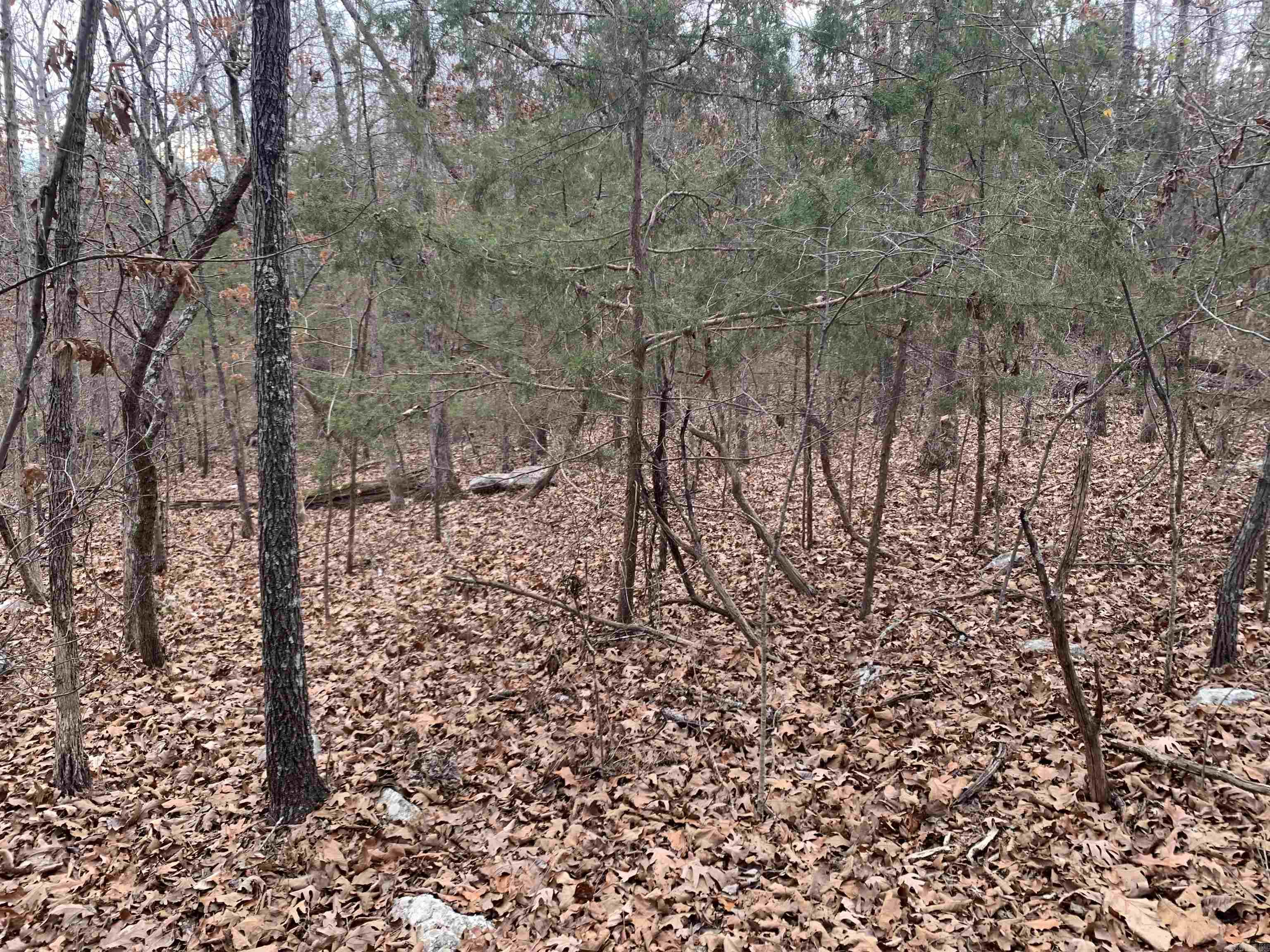 Holiday Hills Estates - Land