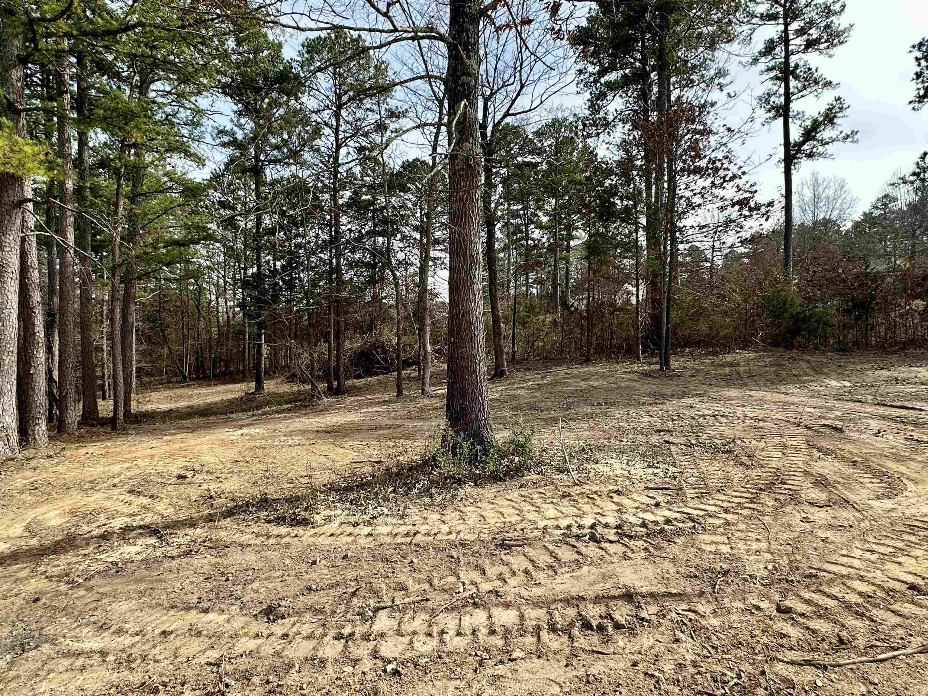 ASHLEY WOODS - Residential