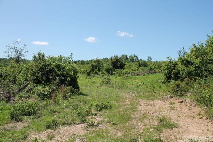 57 unrestricted acres located in Tilly Arkansas on Hwy 27. Build on the West side and enjoy the view across the holler to the East. Perfect for hunting and privacy. Owner is negotiable on additional clearing and home site prep with acceptable offer. Owner will also consider selling in smaller tracts and possible OWNER FINANCING available. Tax records indicate Marshall School District, please verify.