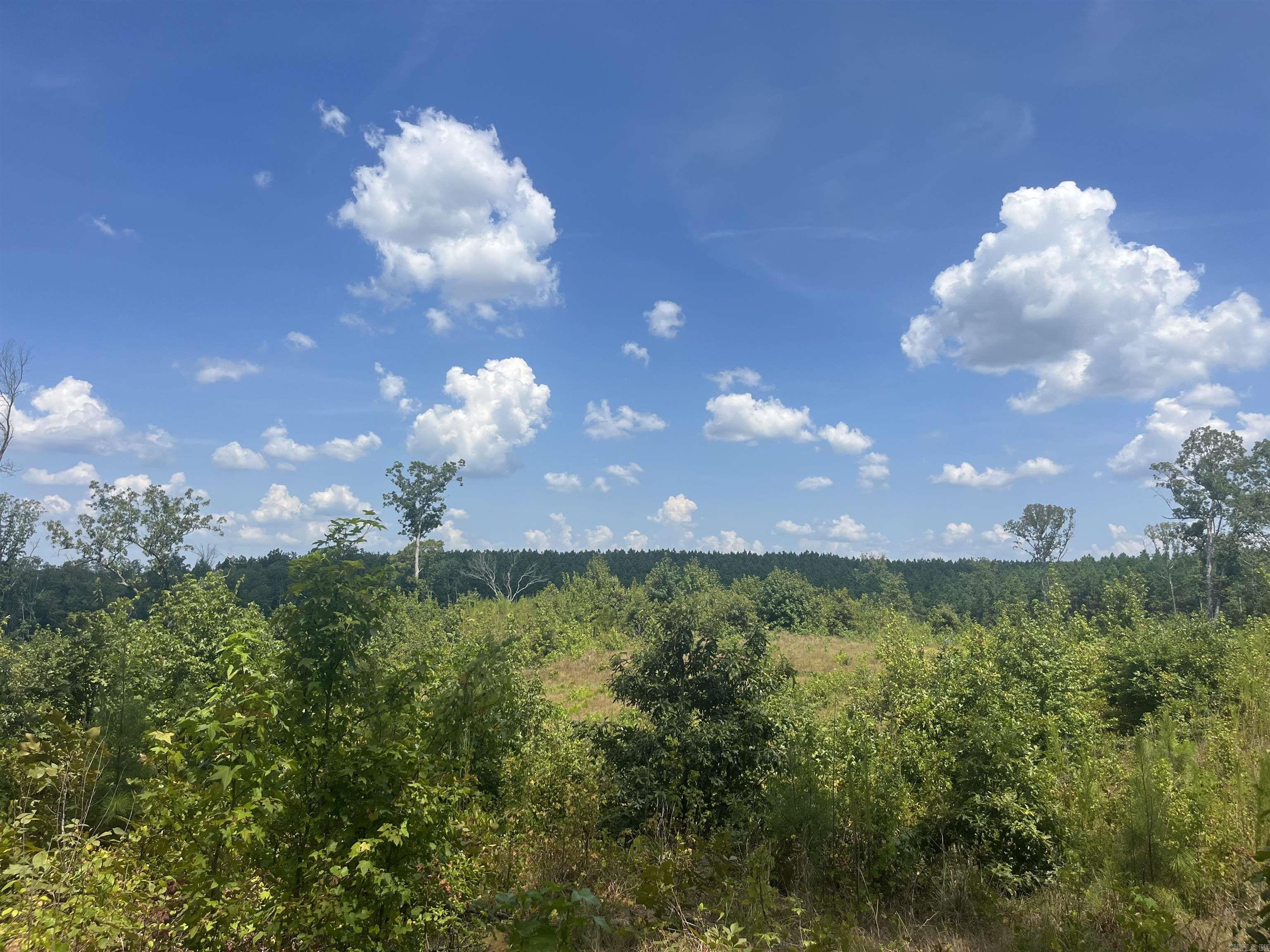 31.5 acres of rolling hills just south of Malvern. Enjoy the wildlife, serenity and peace of country life only a short drive from town. Build your dream home, use it as a hunting retreat or subdivide into lots. The possibilities are endless!