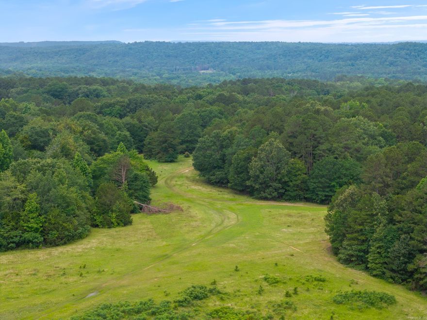Beautiful land with a large pond in the Greenbrier School District! What an amazing opportunity to own 80 acres at a reasonable price.  Land is both wooded and cleared, with signs of wildlife everywhere. Tons of building spots. Unlike some land that has steep terrain, this land has gentle slopes and flat areas to build. Whether you are looking to start a farm, homestead, or just want to build your dream home with tons of privacy, this is it!
