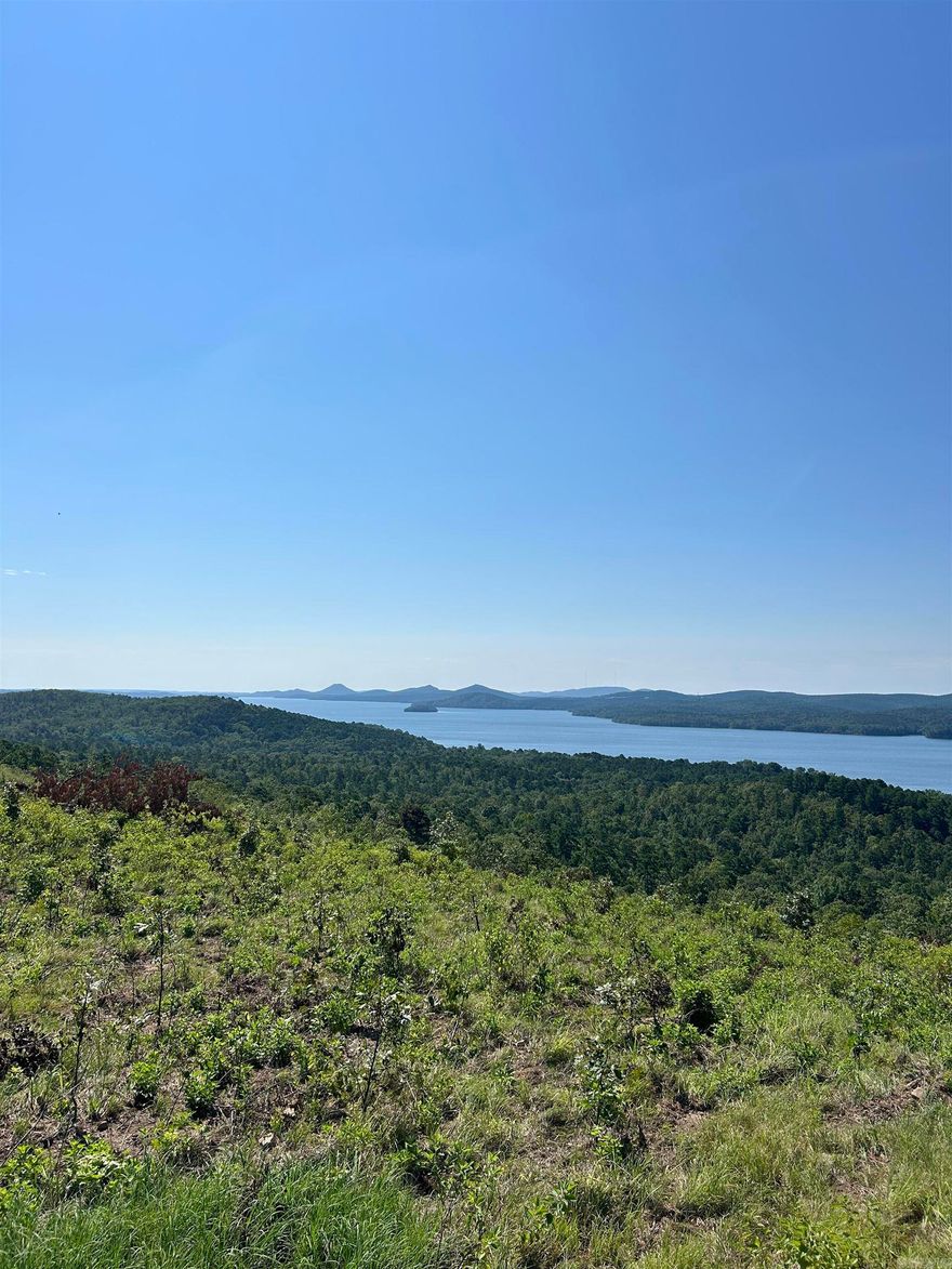 Approximately 40 acres with panoramic views of Lake Maumelle and the western mountain range located within a gated subdivision.  This exceptional tract offers a rare combination of elevated lake views, mature timber, and outstanding privacy. With this amount of acreage, you have the flexibility to create a private estate setting while still enjoying the security and convenience of neighborhood amenities.  Subdivision amenities include pickleball courts, basketball courts, and miles of scenic walking and nature trails.  Additional acreage may be available for purchase if desired.  A unique opportunity to secure large acreage with water / Mountain View’s minutes from West Little Rock.