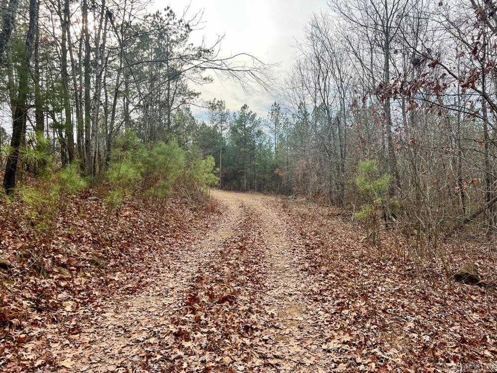 Metes & Bounds - Land