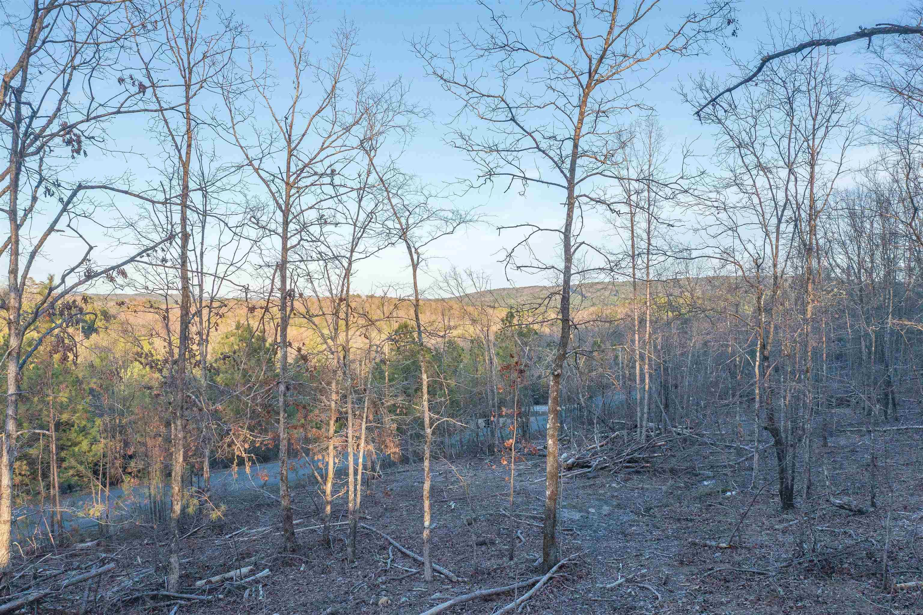 Strawberry East - Land