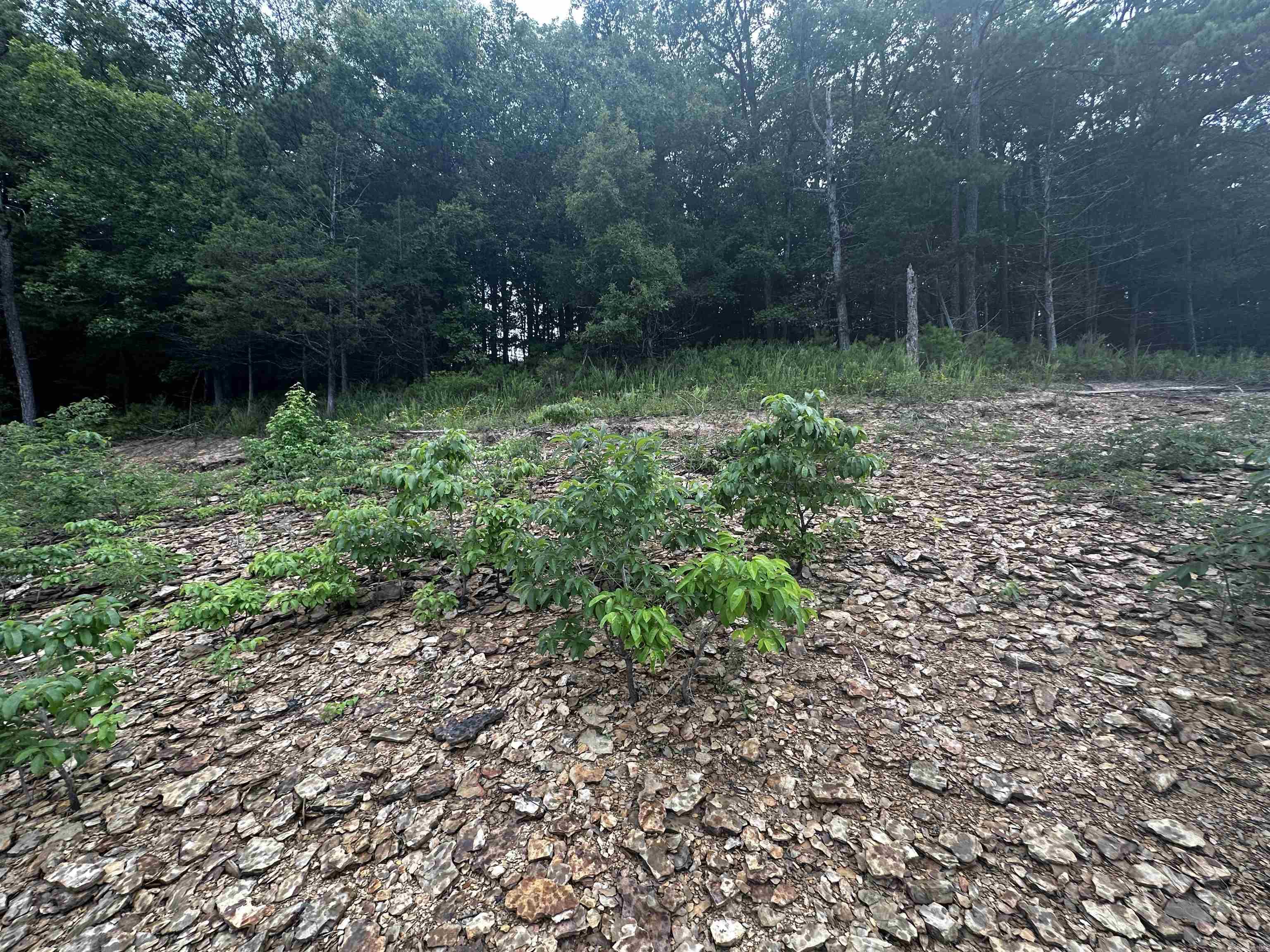 Great Lake Area. Get this lot before its gone. Nice location. Lake Front !! Lake pictures taken below white line , mineral rights do not convey.