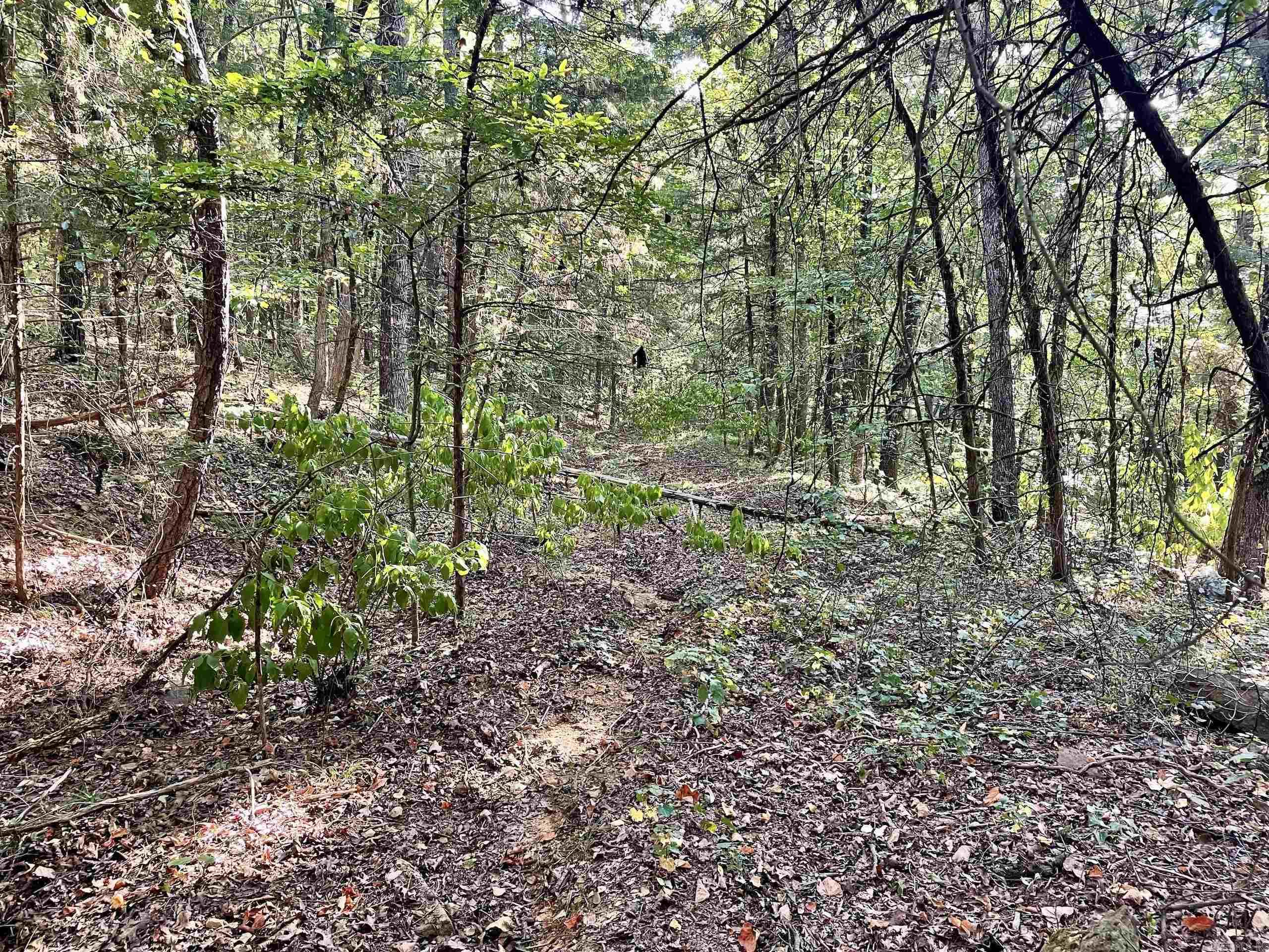 Not in Subdivision - Land