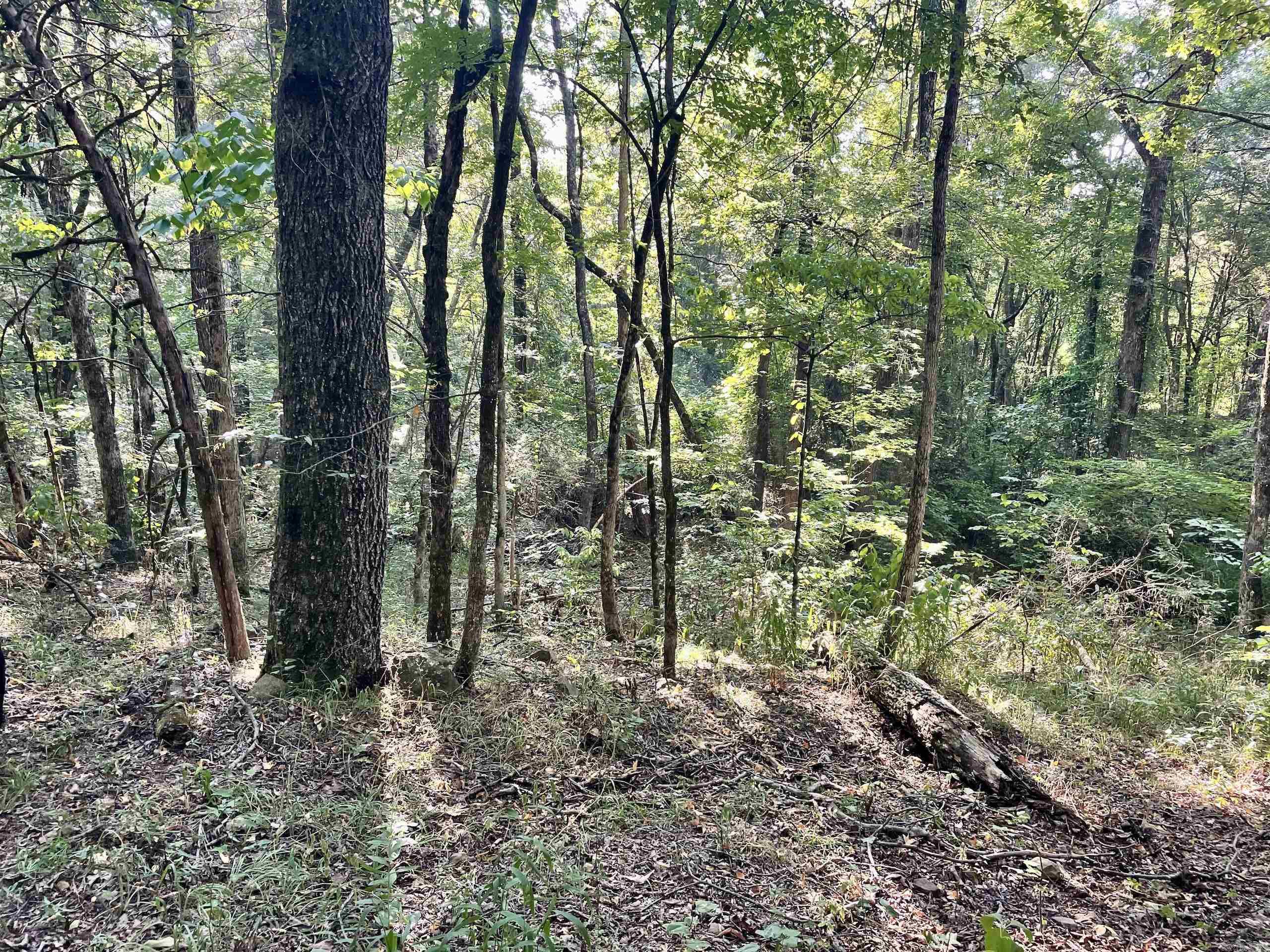 Not in Subdivision - Land