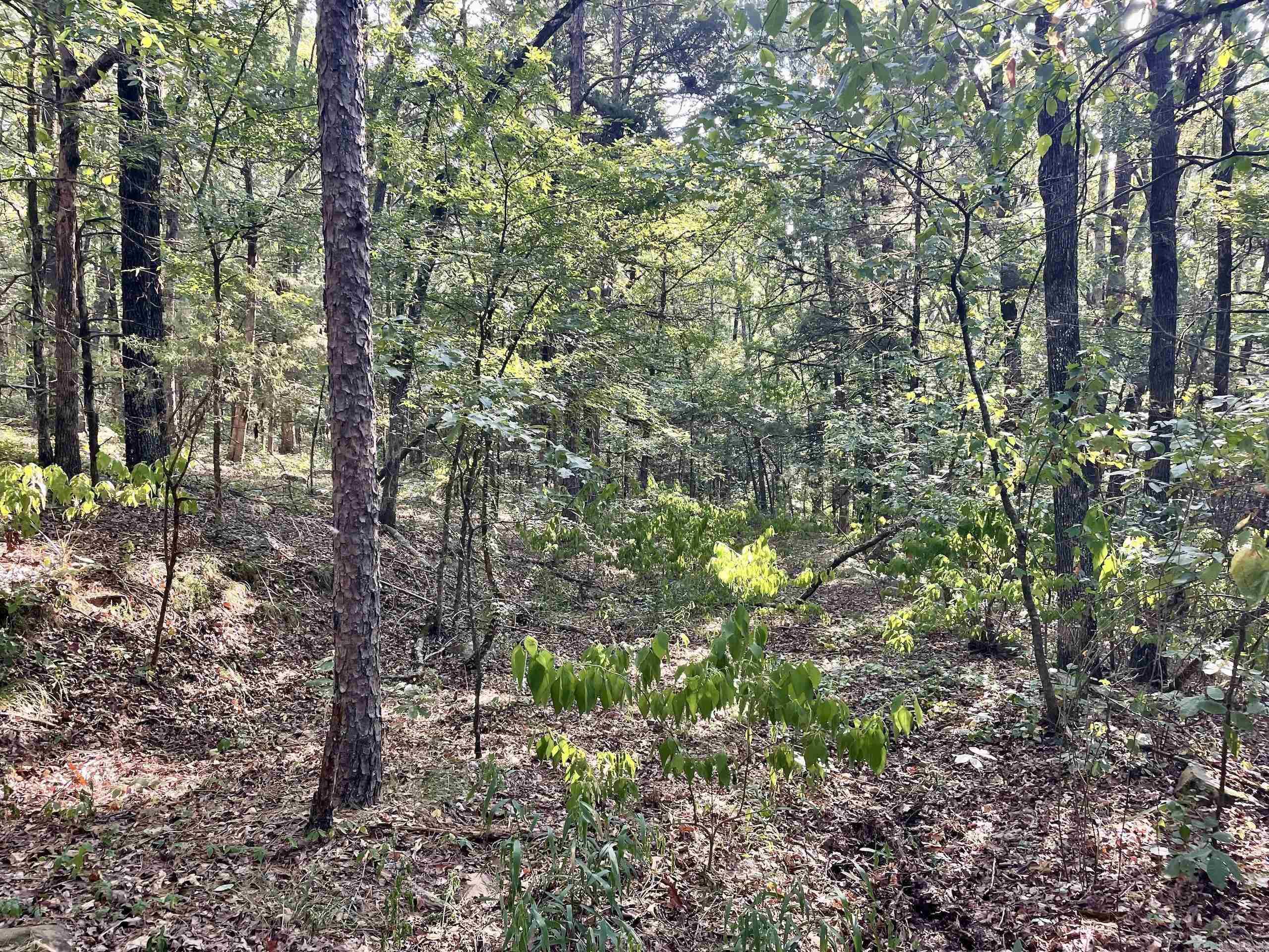 Not in Subdivision - Land