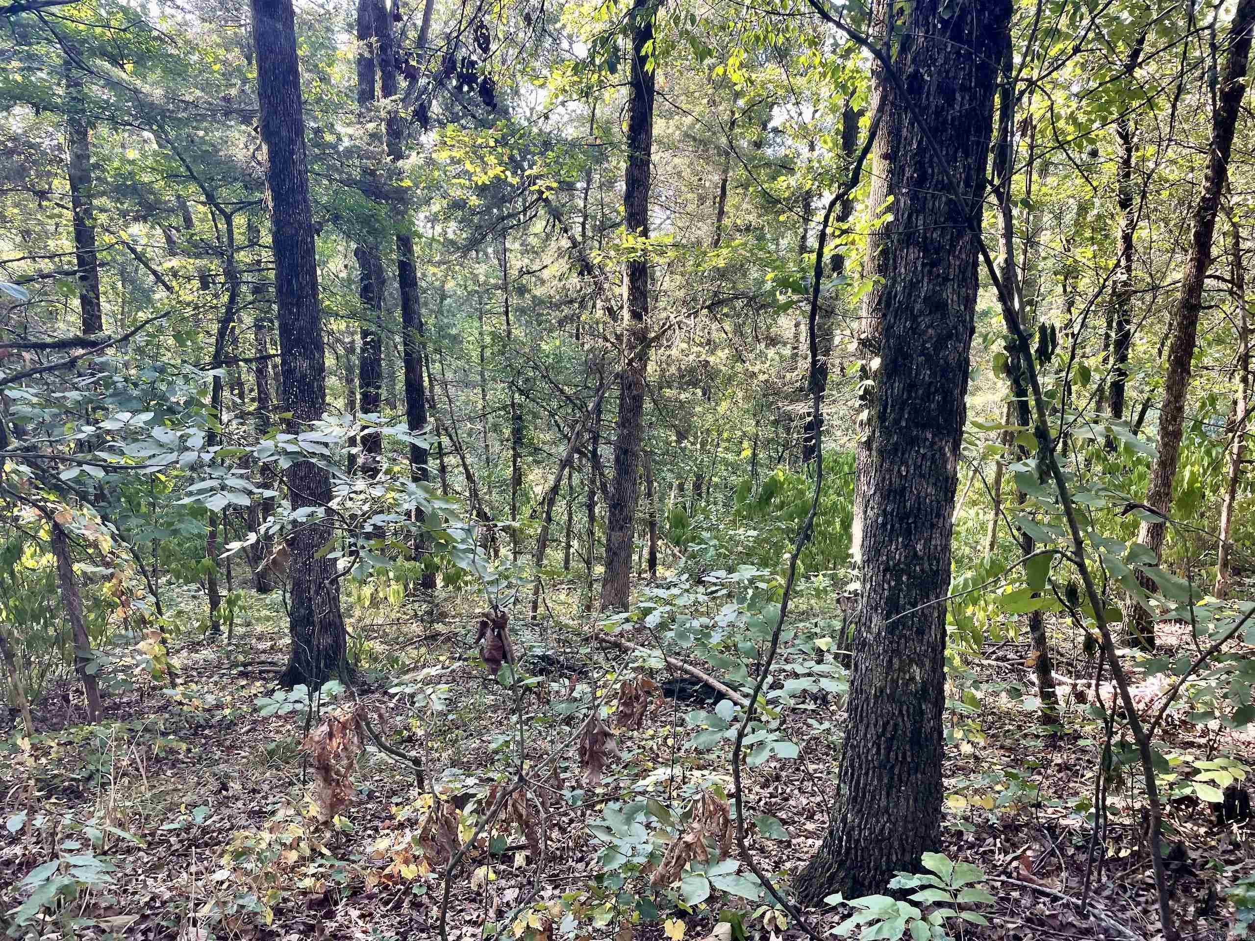 Not in Subdivision - Land