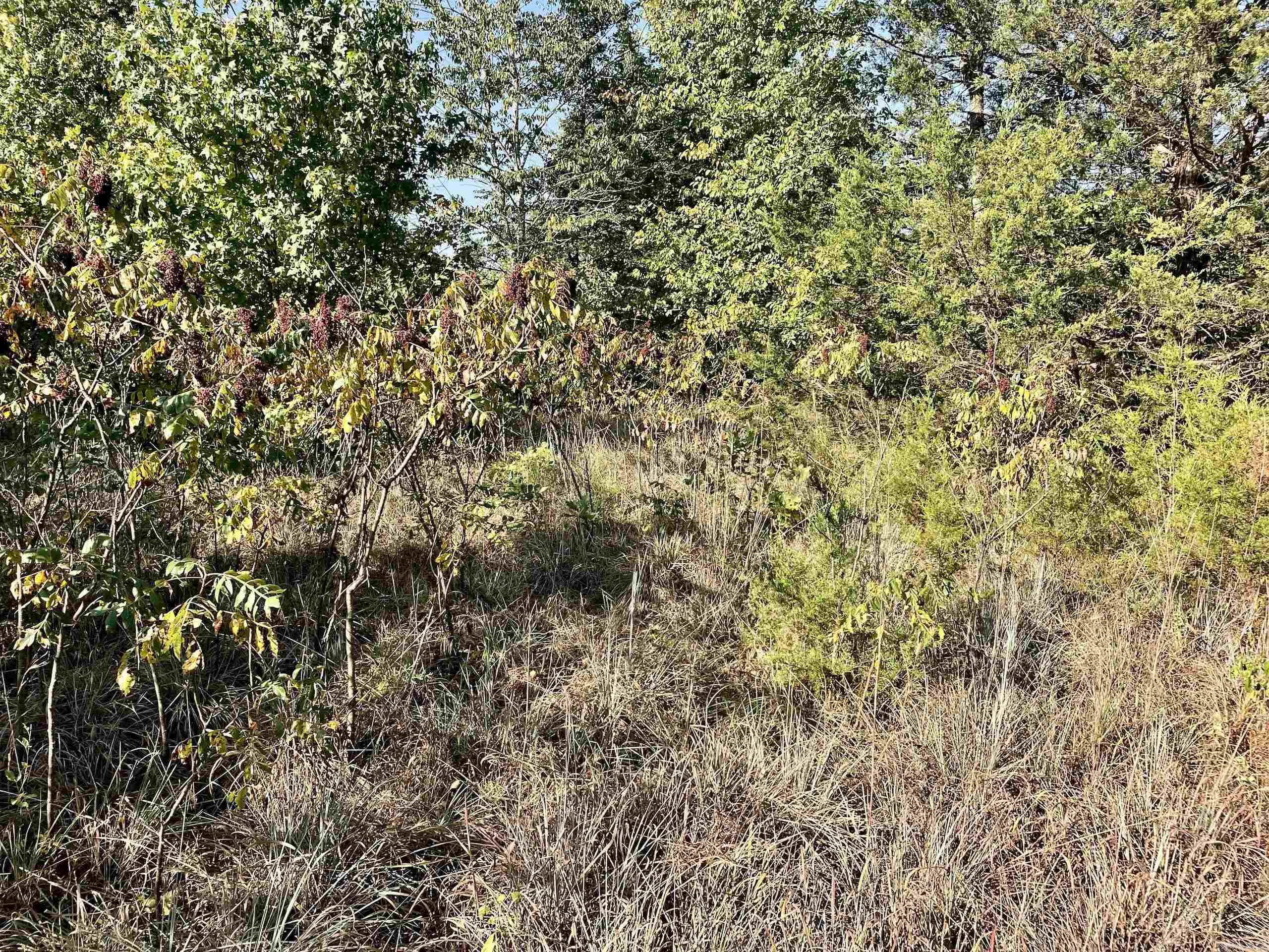 Not in Subdivision - Land