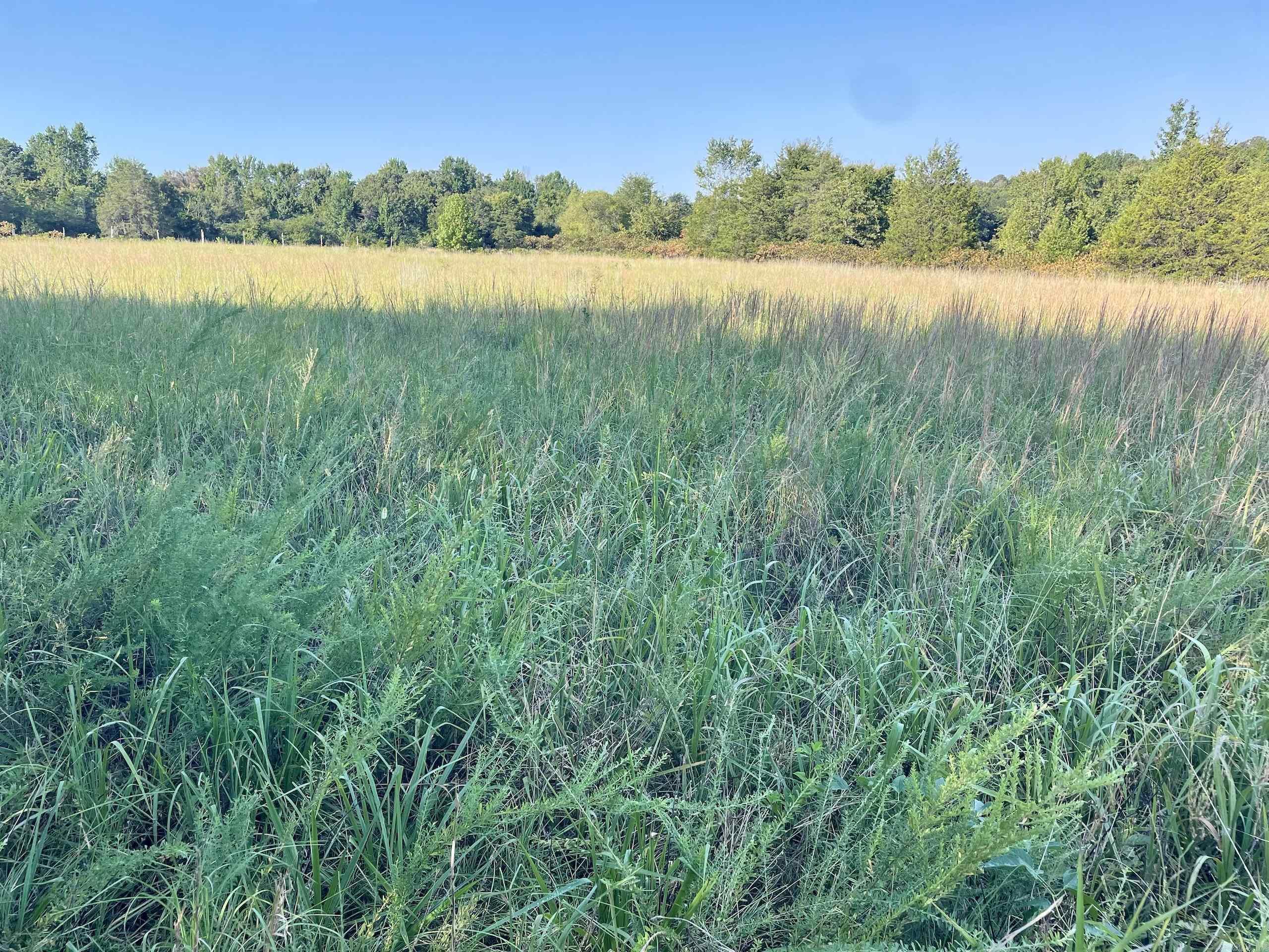 Not in Subdivision - Land