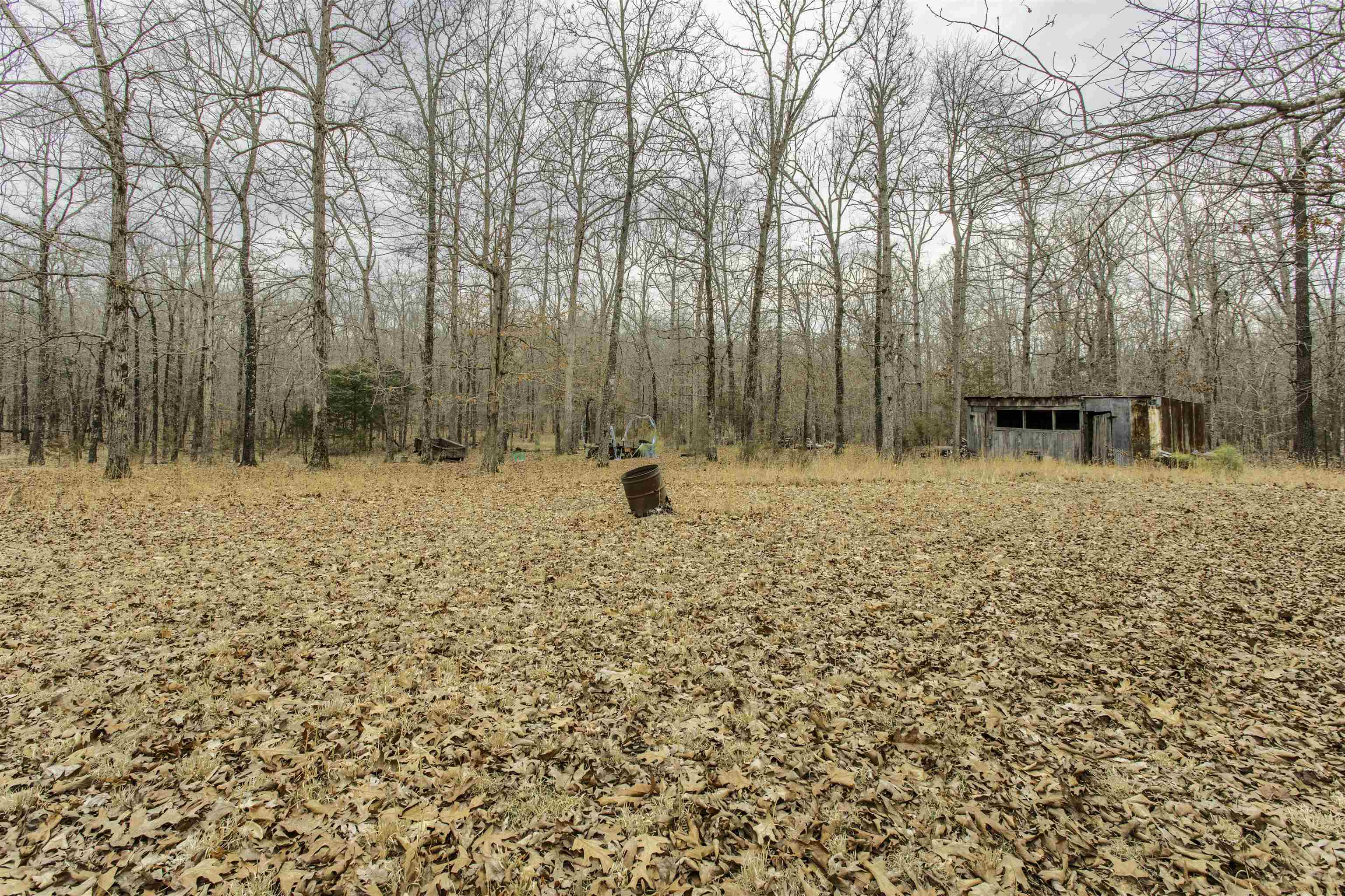 ARKANSAS HGTS - Residential