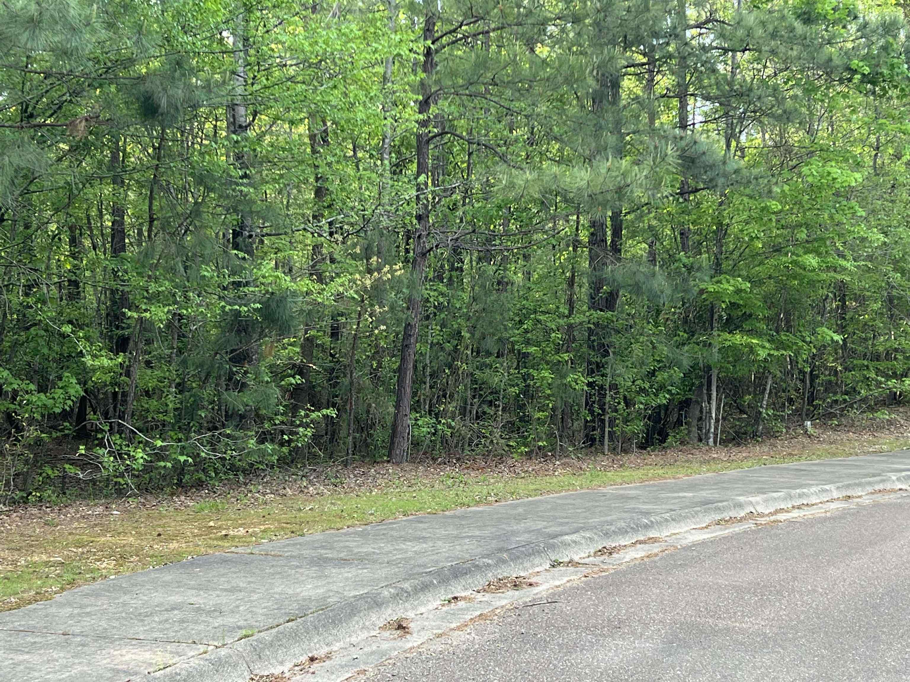 ARKADELPHIA REAL ESTATE - Residential