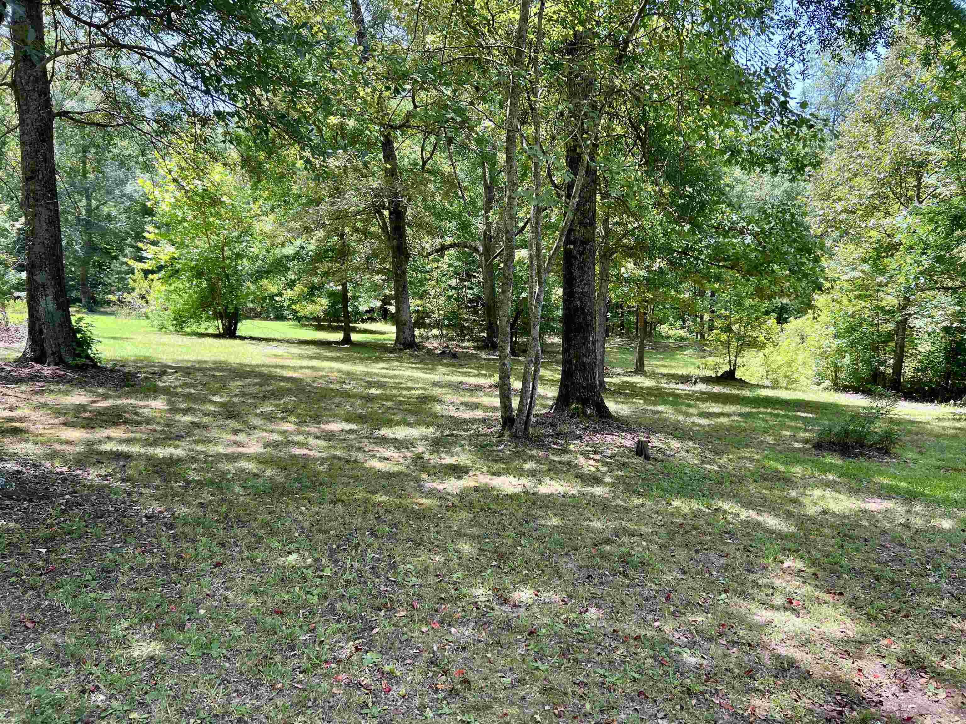 ARKADELPHIA REAL ESTATE - Residential