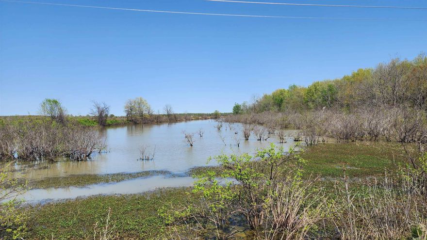 This is a great opportunity for any outdoorsman.  It has over 41 acres of CRP that is over 20 years old.  There is a power line running through the timber and borders the bayou on 2 sides for close to 2000 feet of water frontage.  Fishing and duck blinds are a definite possibility.