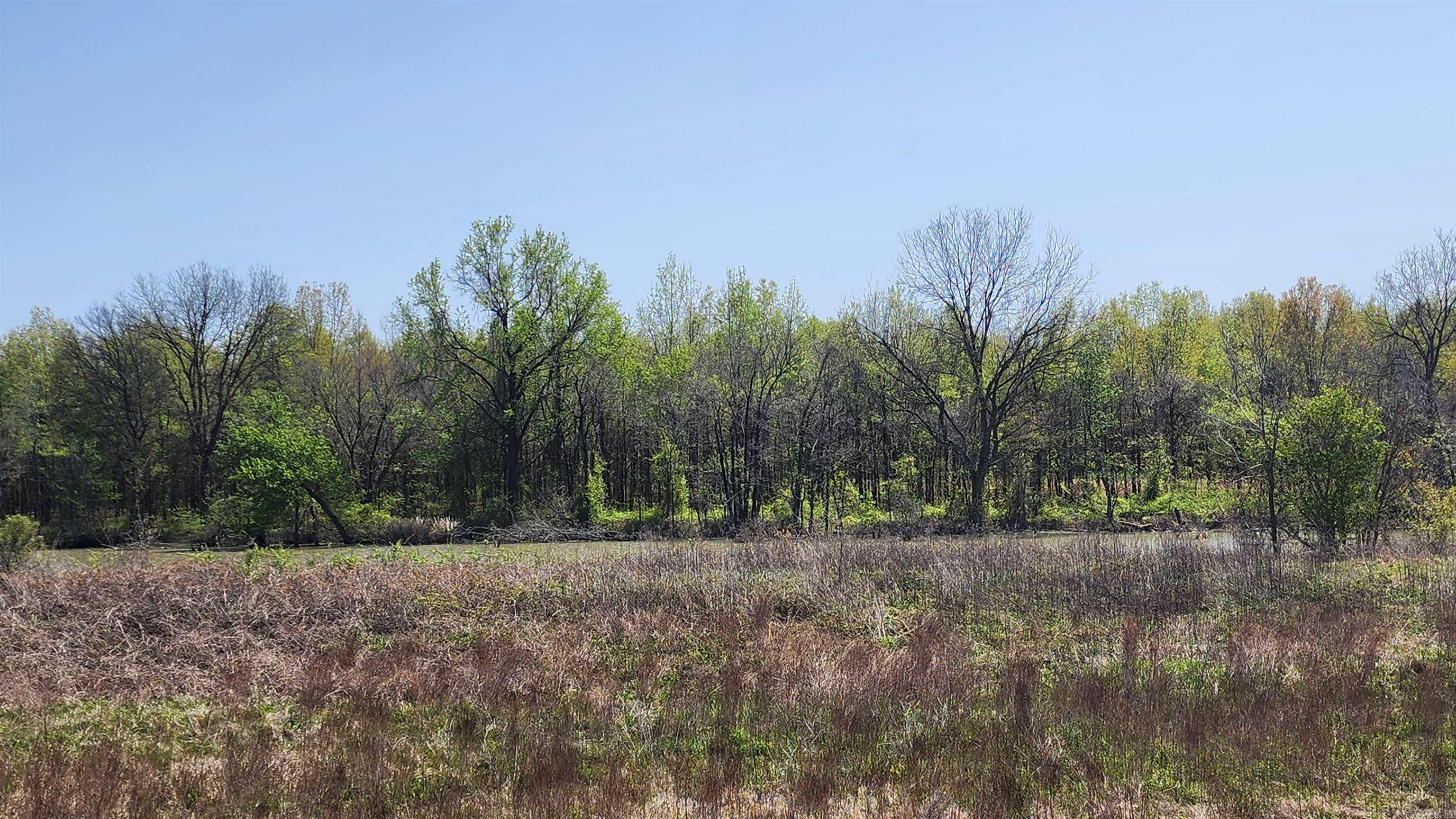 FORREST GROVE - Farm