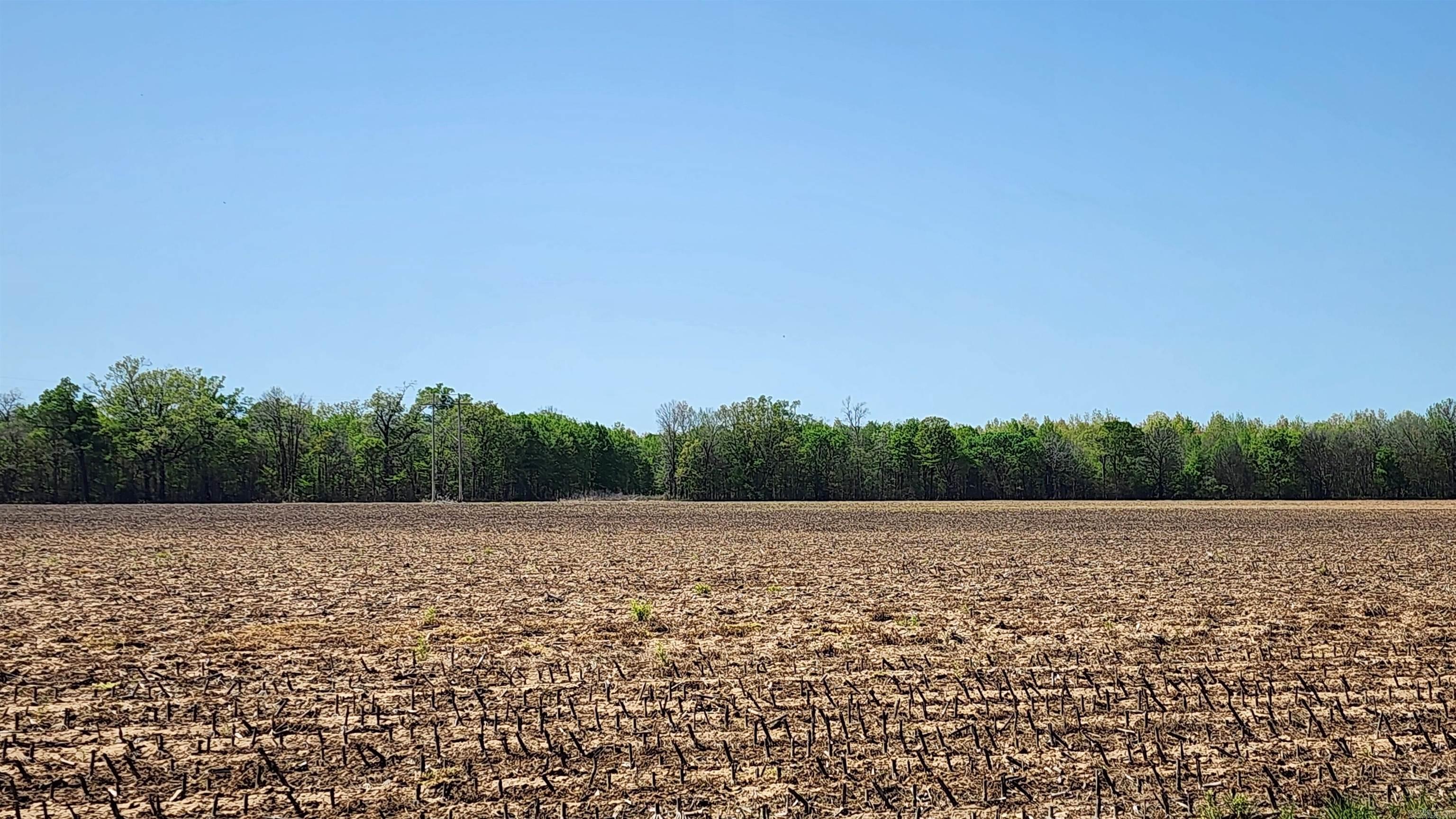 FORREST GROVE - Farm