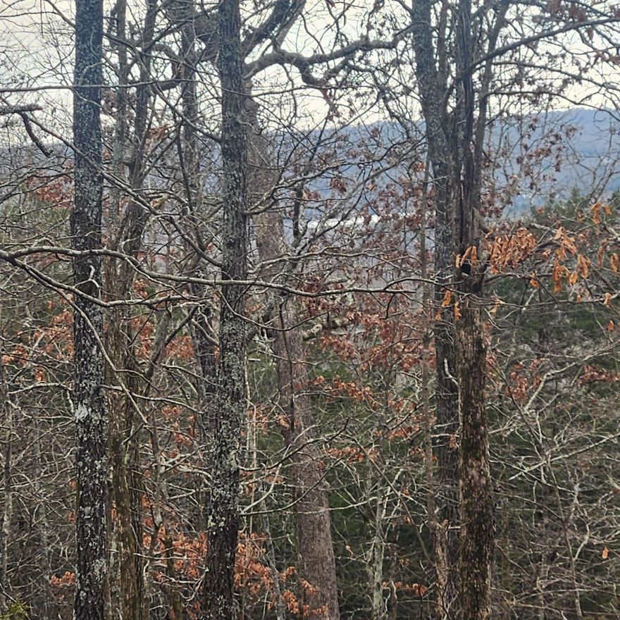 8 +/- acres M/L of pristine hunting or camping ground located in Sharp County. Just north of Cherokee Village and South of White Horse Mt. Great for the outdoorsman or nature lover. Wonderful Hillside property with plenty of potential for a Valley or Vista view. Loaded with trees and Ozark wildlife such as deer, turkey, bear and small game as well. Come take a look at this property and pick out a spot for your hunting cabin, your weekend getaway cottage or even your forever home with outstanding views. The Cherokee Village Gun Club is just minutes away with its Pistol range, Archery range, Trap house and Skeet house. More attached/adjacent acreage may be available with acceptable terms. Contact your agent for details.