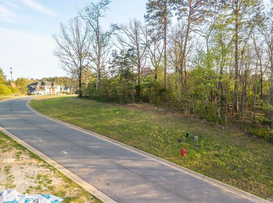 Discover the perfect opportunity to build your dream home on this spacious vacant lot in the highly sought-after Arlington Park community. Boasting over half an acre, this exceptional property offers ample space for a custom residence, outdoor living areas, and more. Nestled in a prestigious and well-established neighborhood, the lot provides a peaceful setting while remaining conveniently close to local amenities, schools, shopping, and dining.   Don’t miss your chance to own a piece of Arlington Park and bring your vision to life on this beautiful homesite.