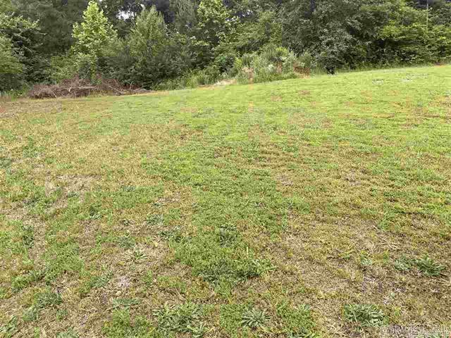 Valley Court - Land