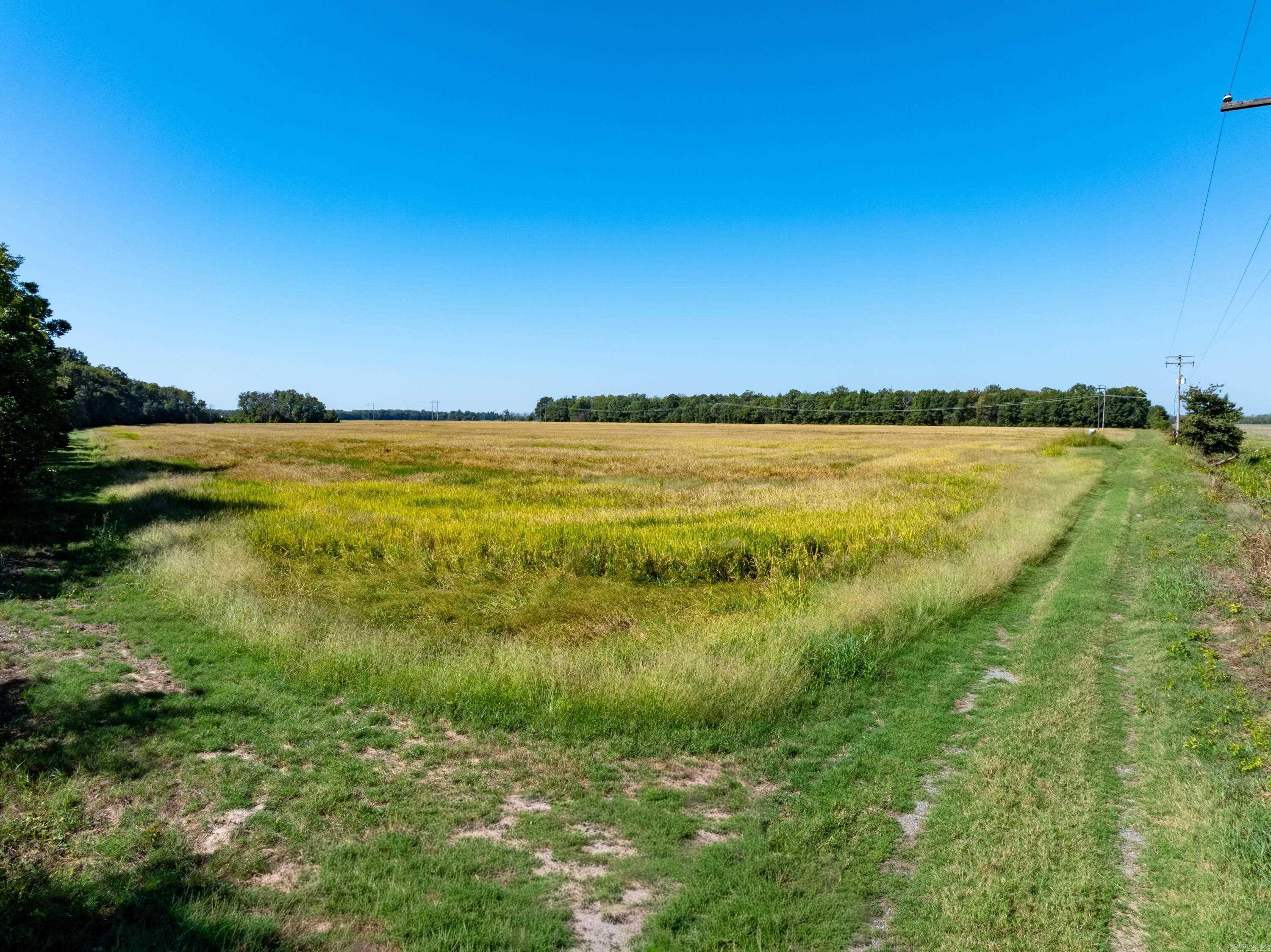 Metes & Bounds - Farm