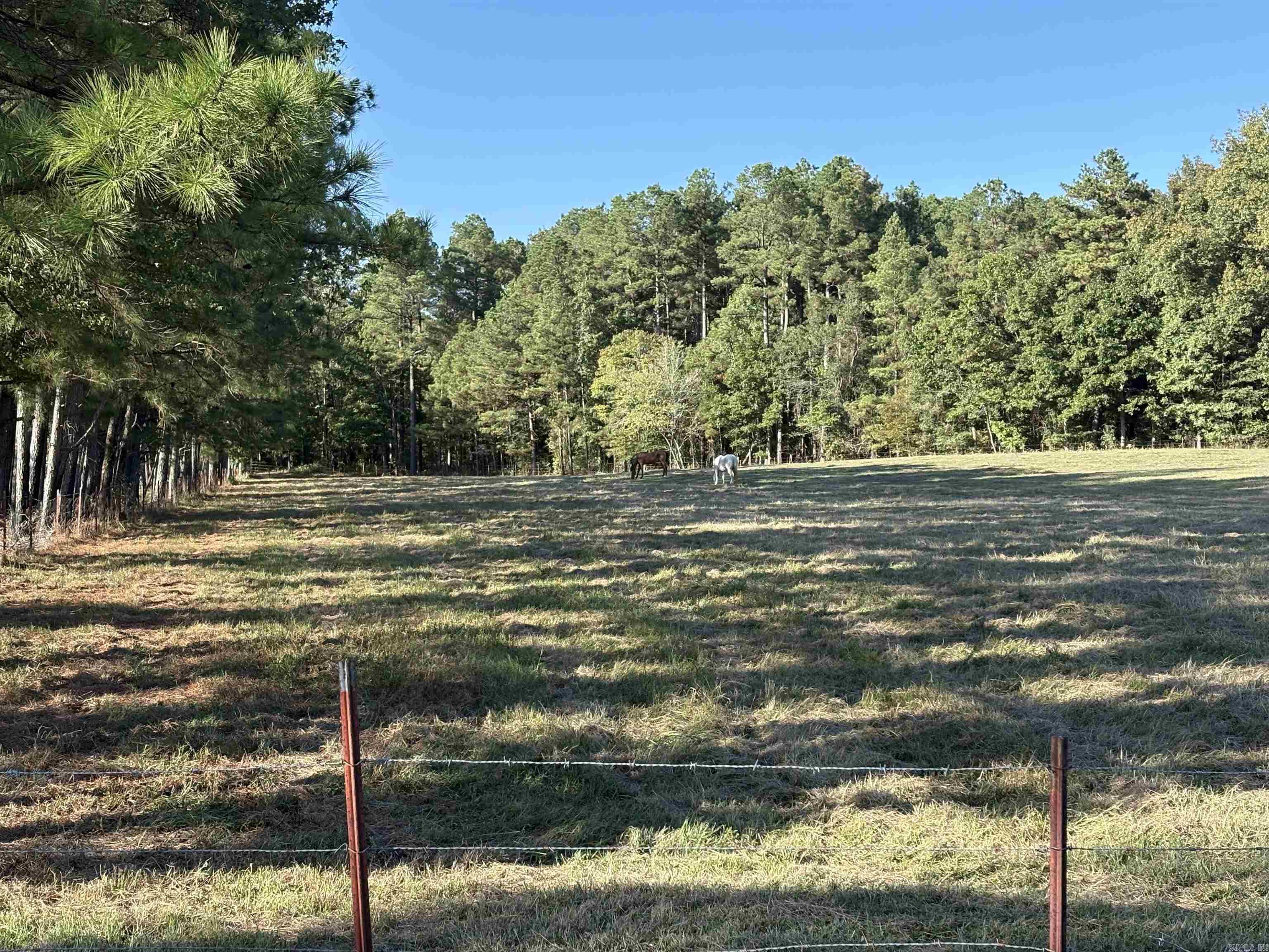 Mustang Ridge - Land