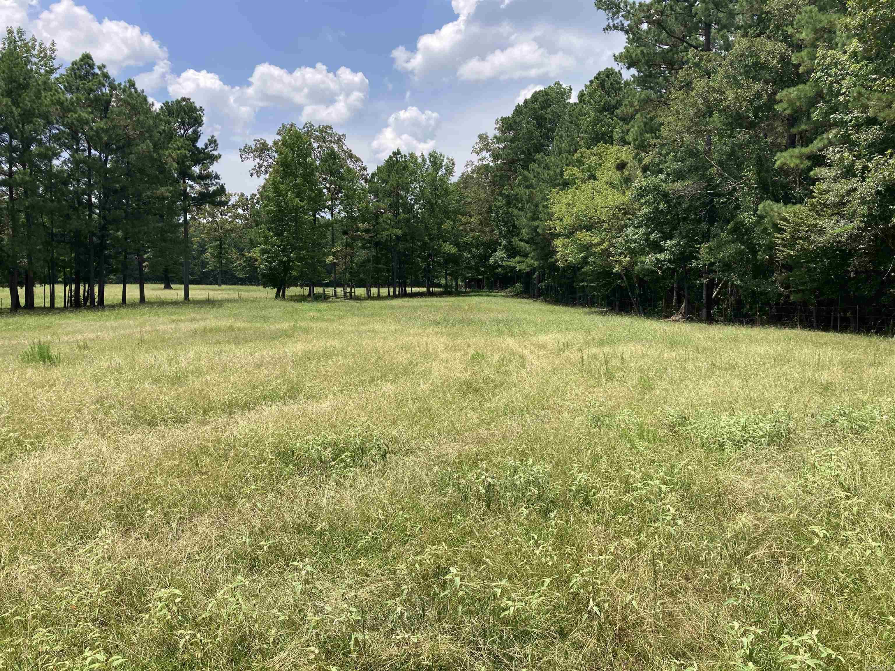 Mustang Ridge - Land