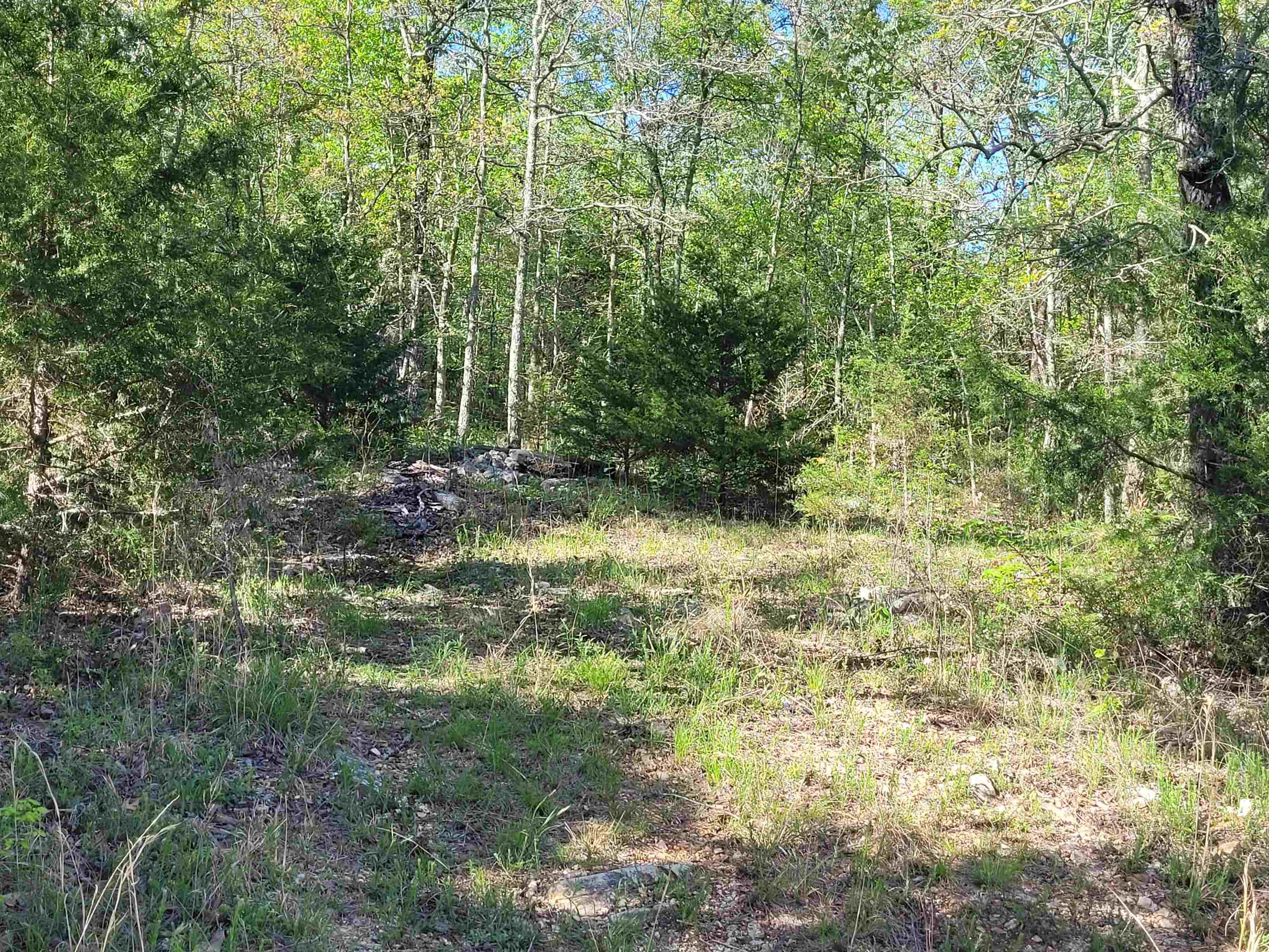 Check out this 5.5-acre vacant parcel located in a peaceful rural country setting. The property is between Mammoth Spring & Hardy, AR, where you can enjoy the charm of the local community and the natural attractions of the area. The property is currently unimproved and densely wooded. The wooded terrain provides ample shade and potential for selective clearing to create building sites, trails, or just embrace nature. It has sloped topography and gravel road frontage with the added benefit of available electricity. This property invites you to envision your off-the-beaten-path retreat, a blank canvas for your vision.