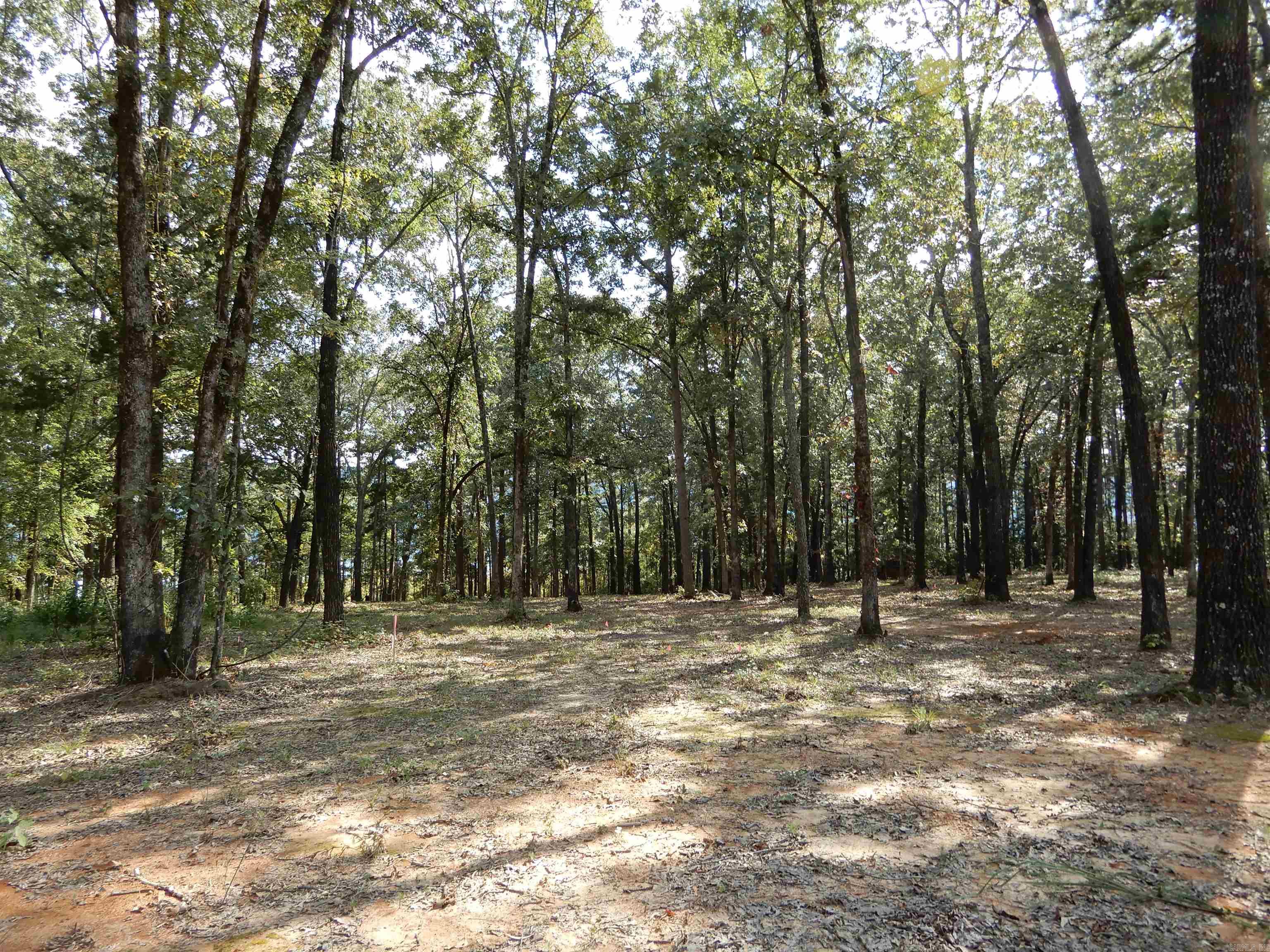 SHILOH LANDING - Land