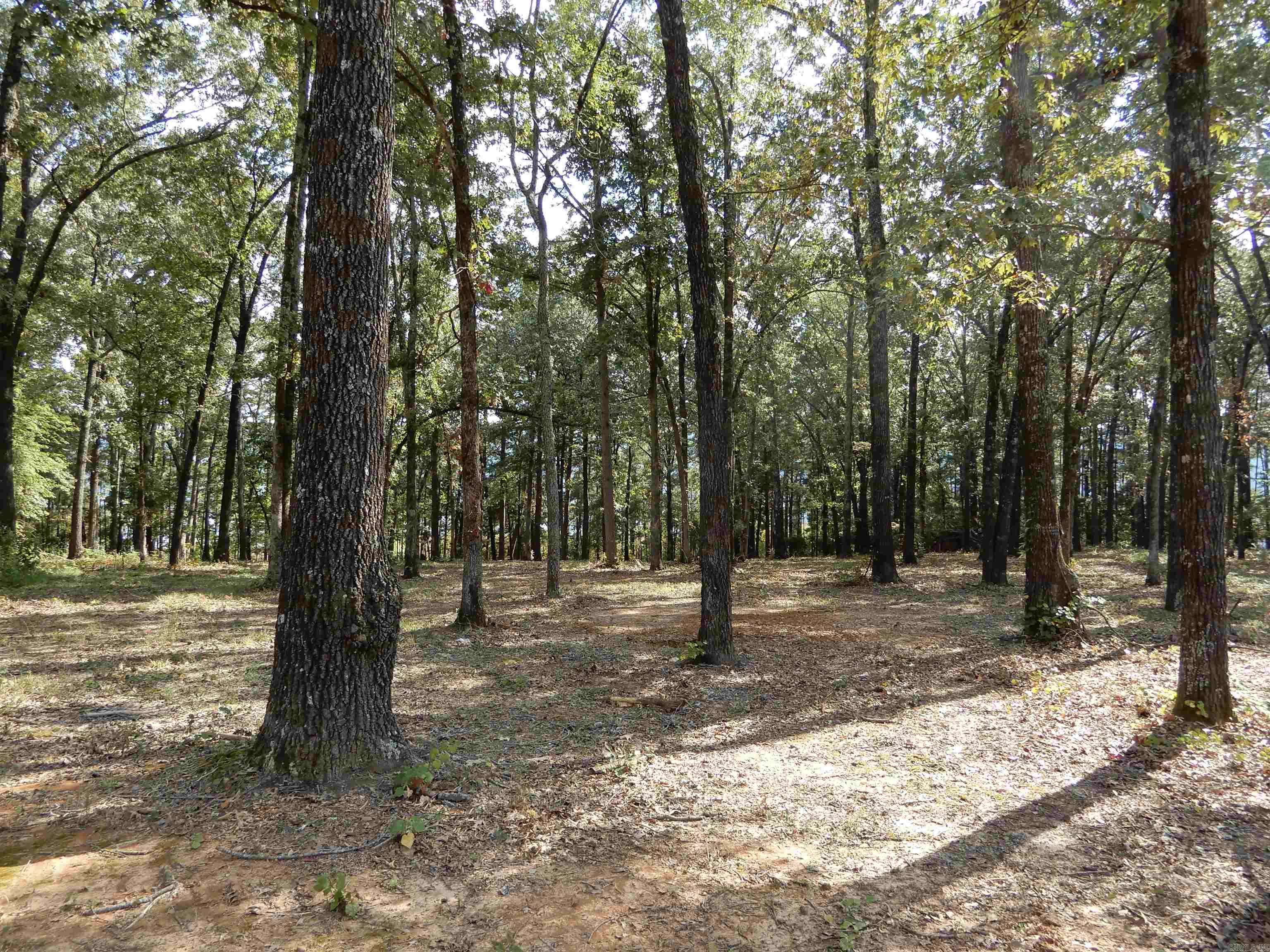 SHILOH LANDING - Land