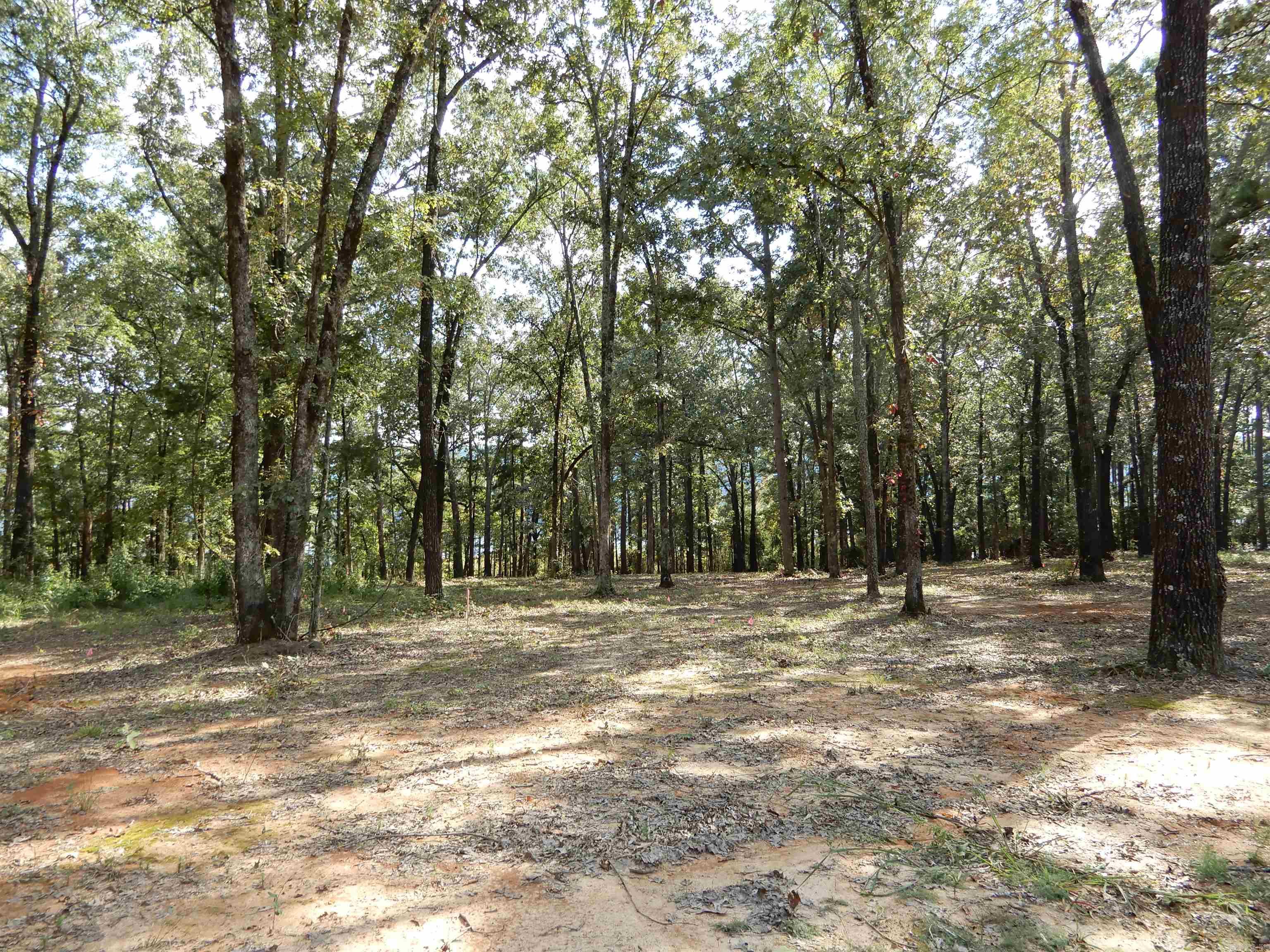 SHILOH LANDING - Land