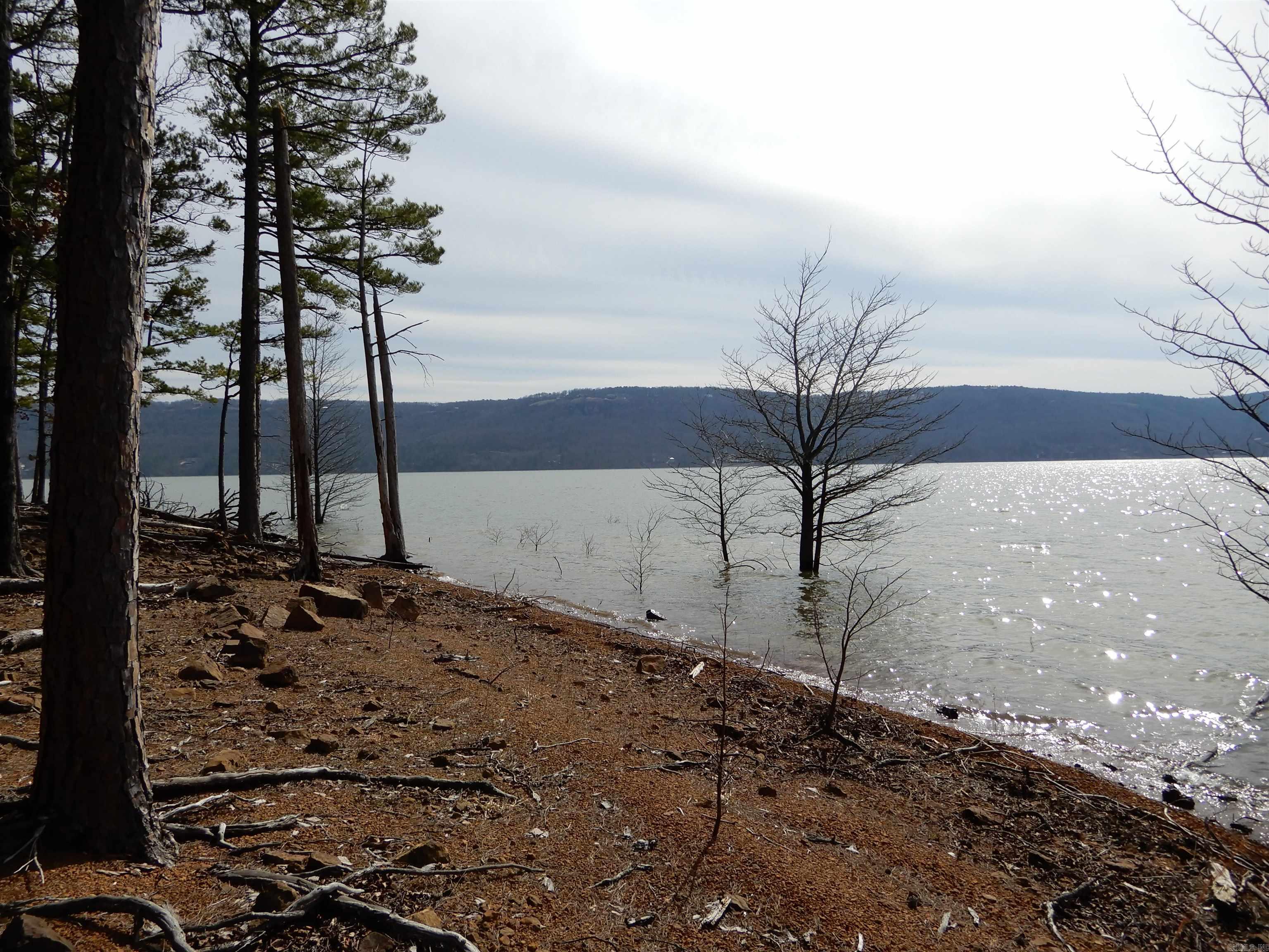 SHILOH LANDING - Land