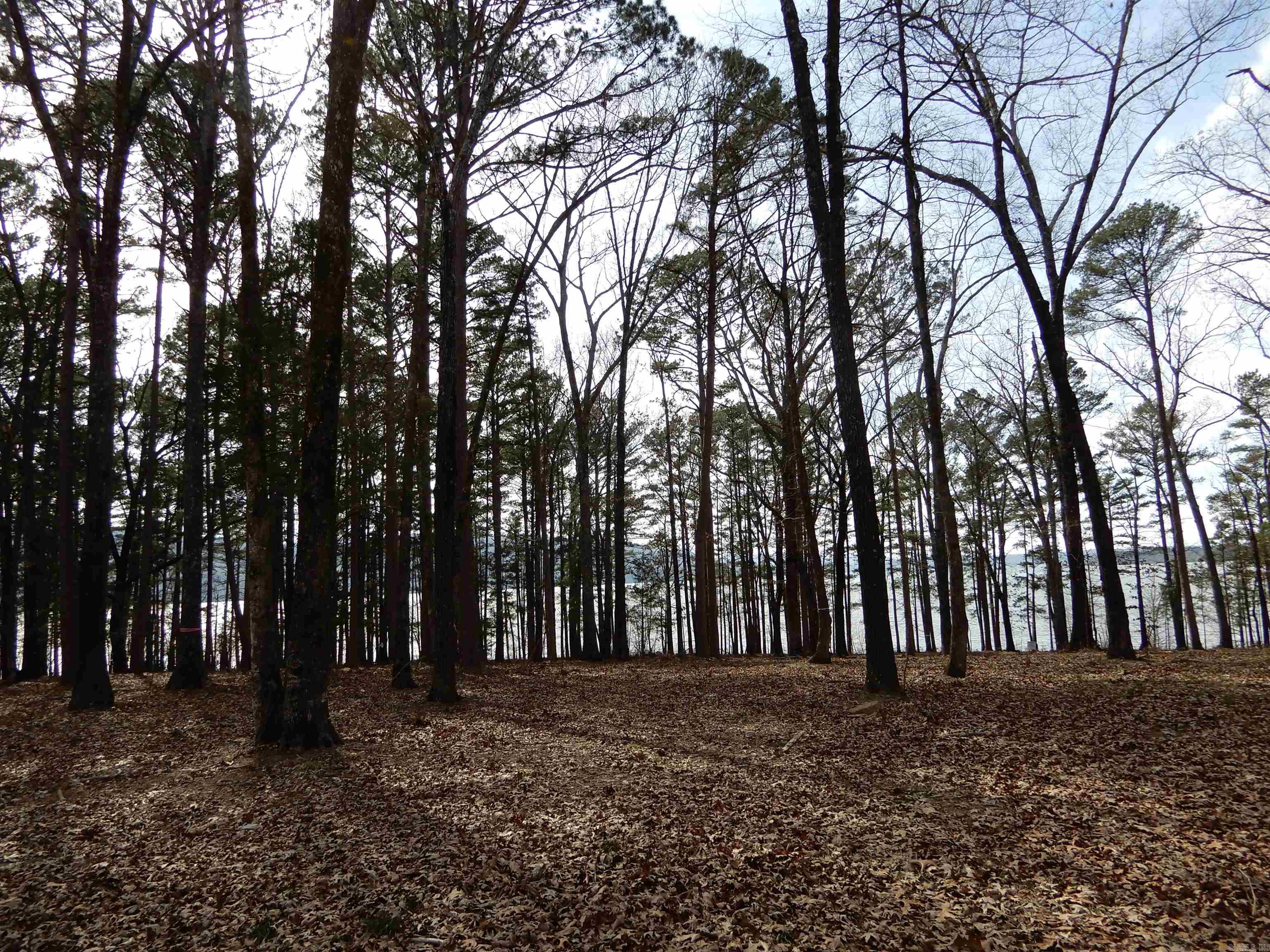 SHILOH LANDING - Land