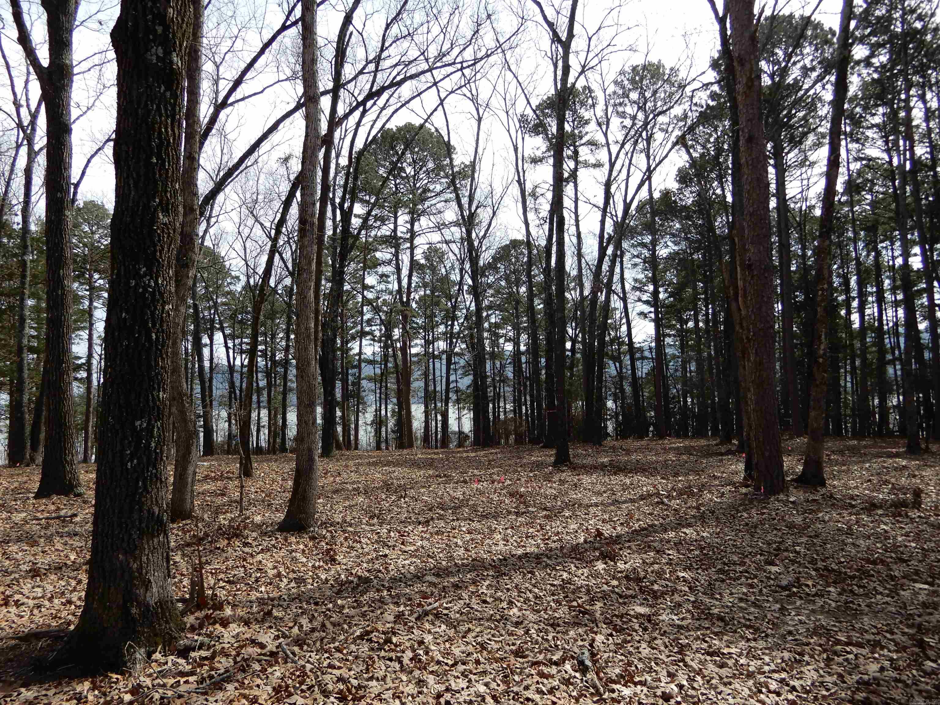 SHILOH LANDING - Land