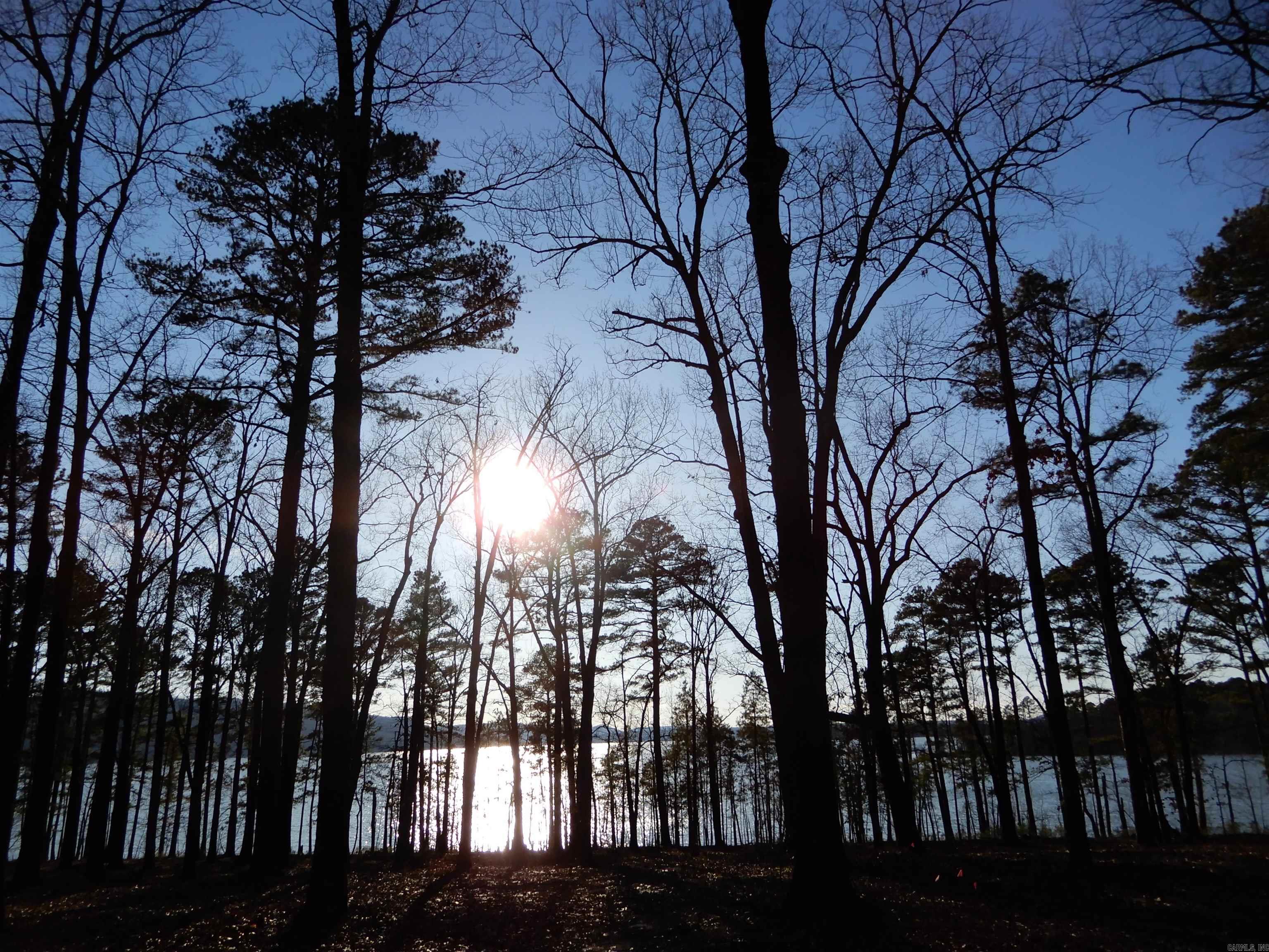 SHILOH LANDING - Land