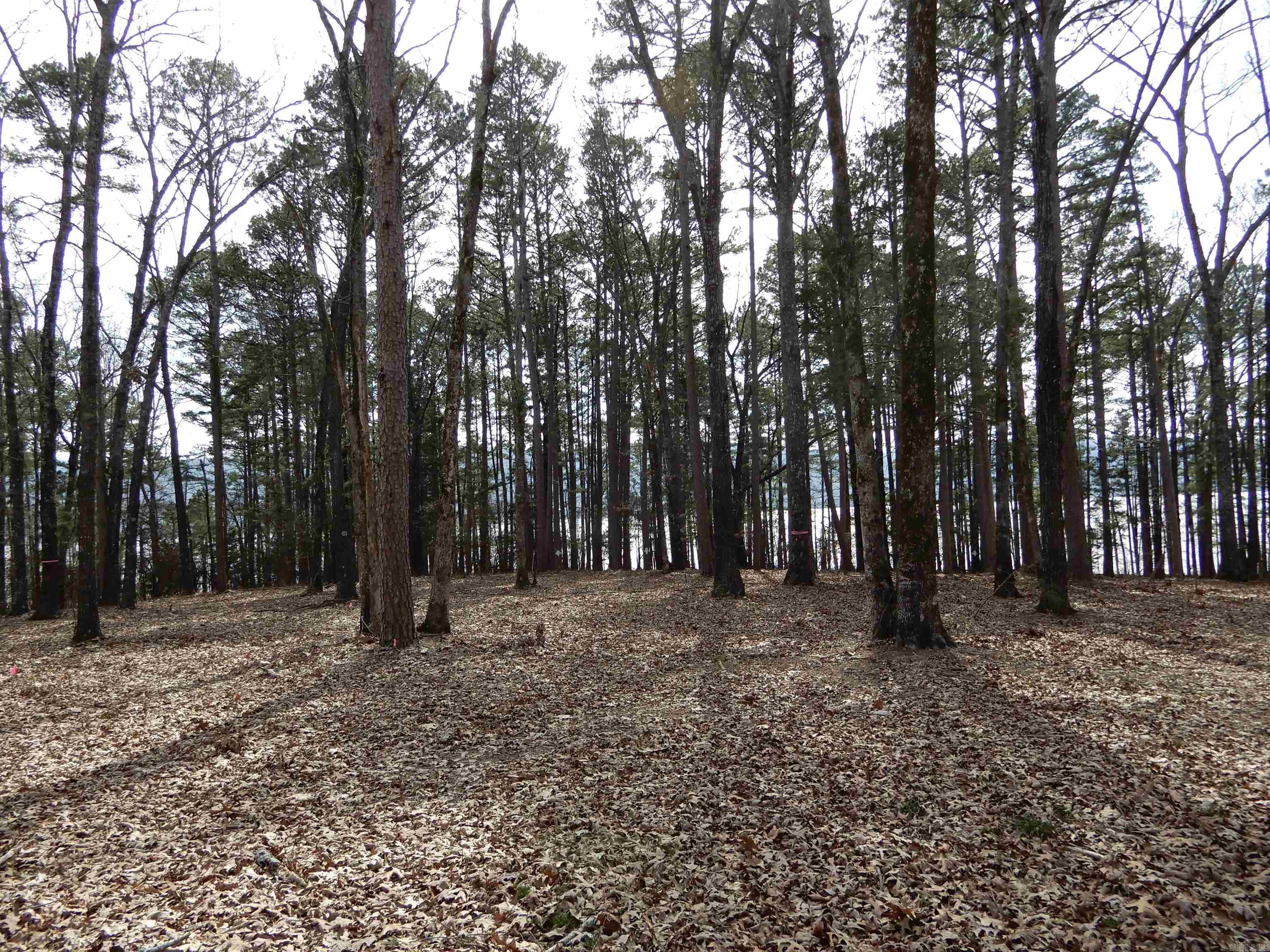 SHILOH LANDING - Land