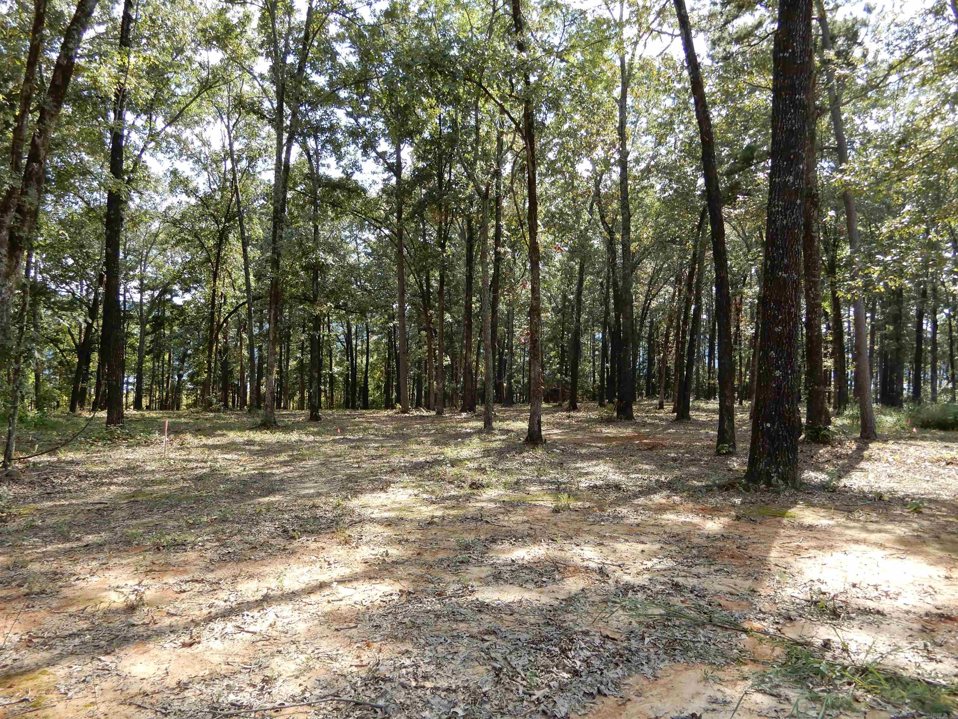 SHILOH LANDING - Land