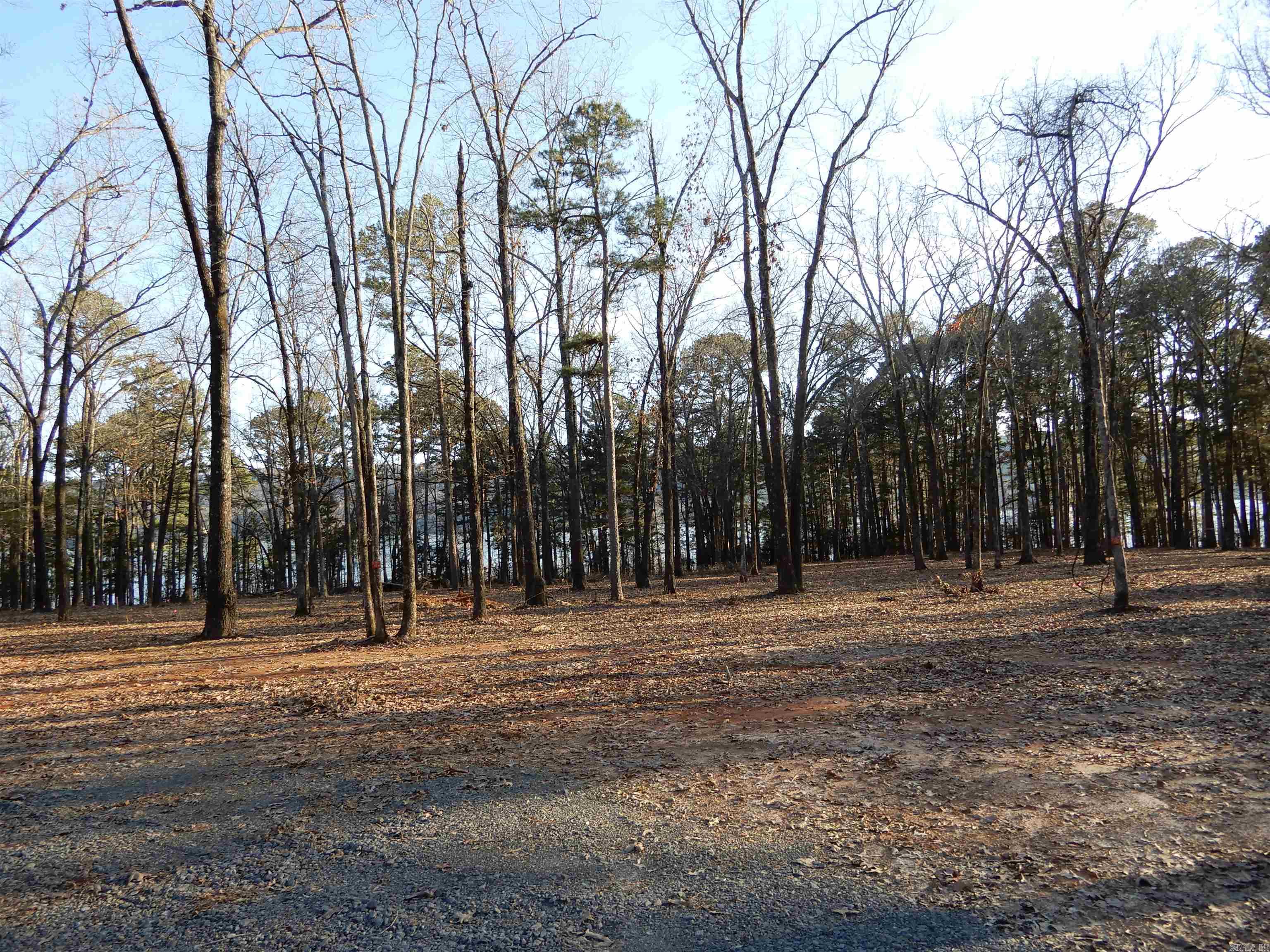 SHILOH LANDING - Land