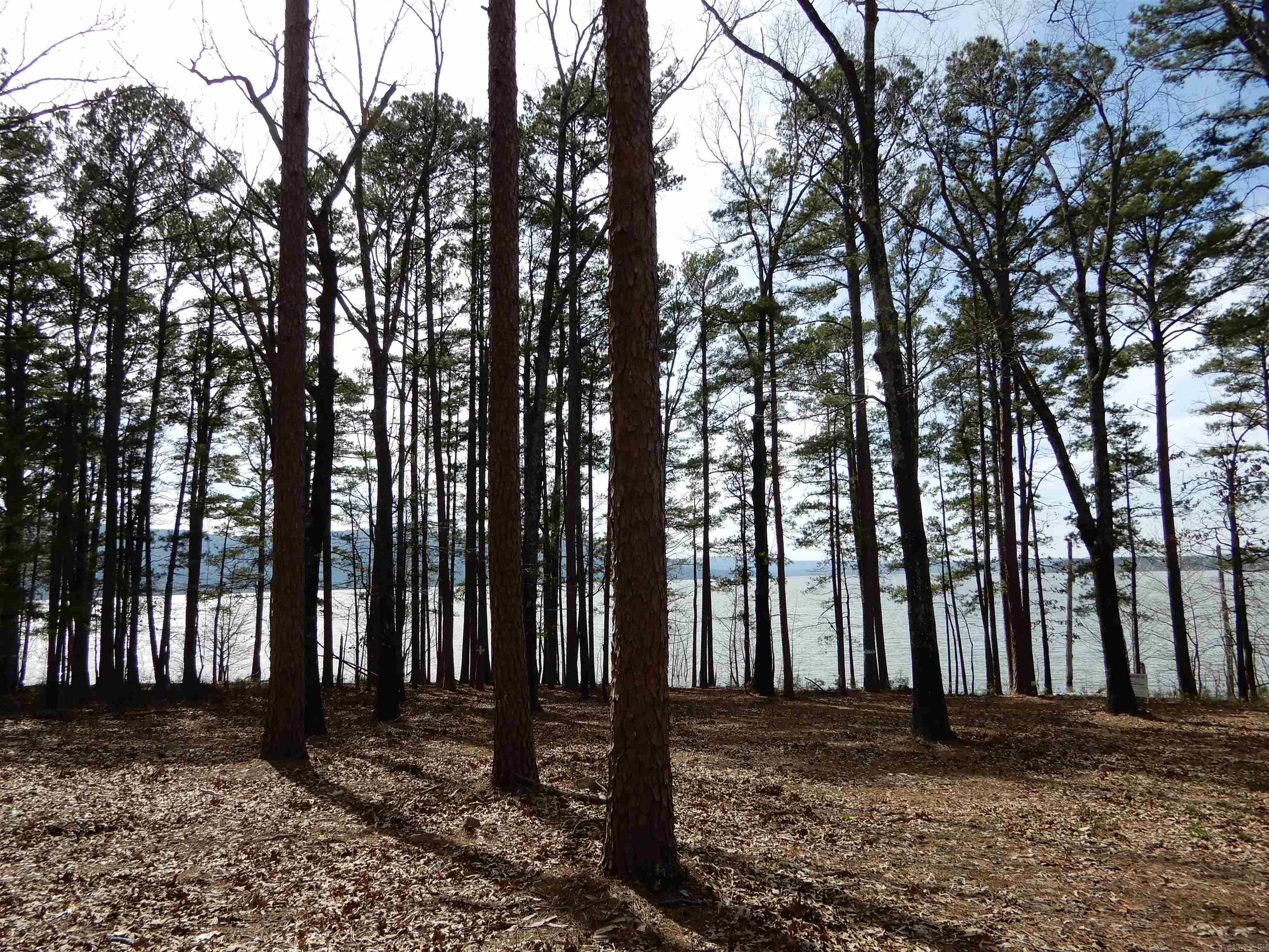 SHILOH LANDING - Land