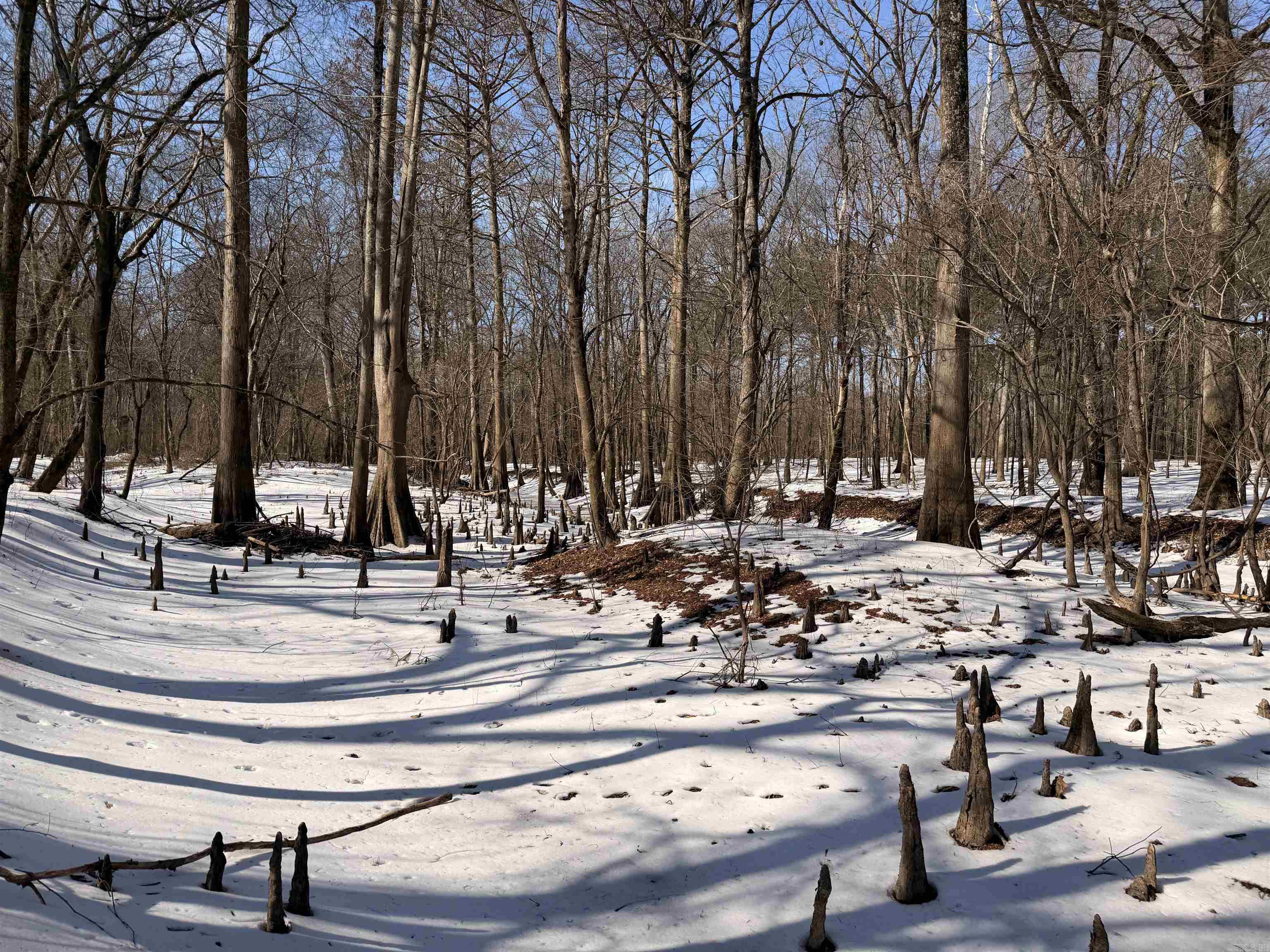 Metes & Bounds - Land