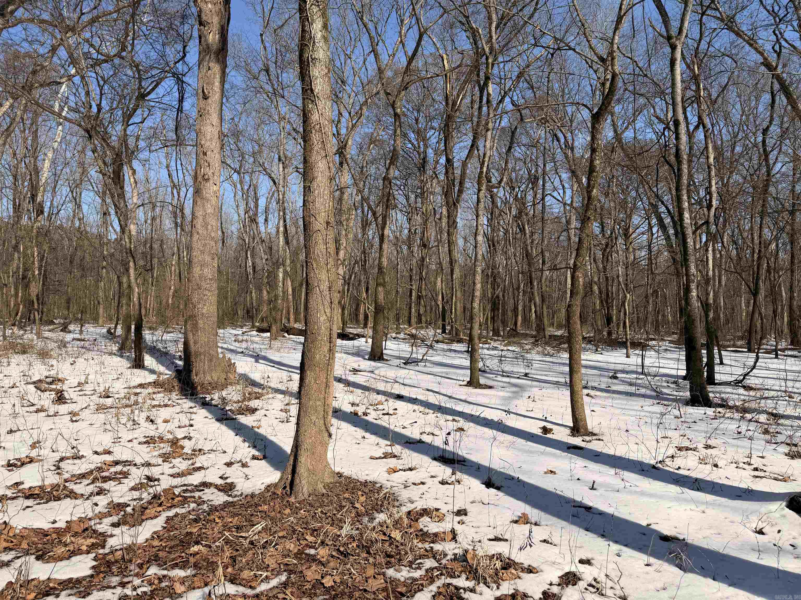 Metes & Bounds - Land