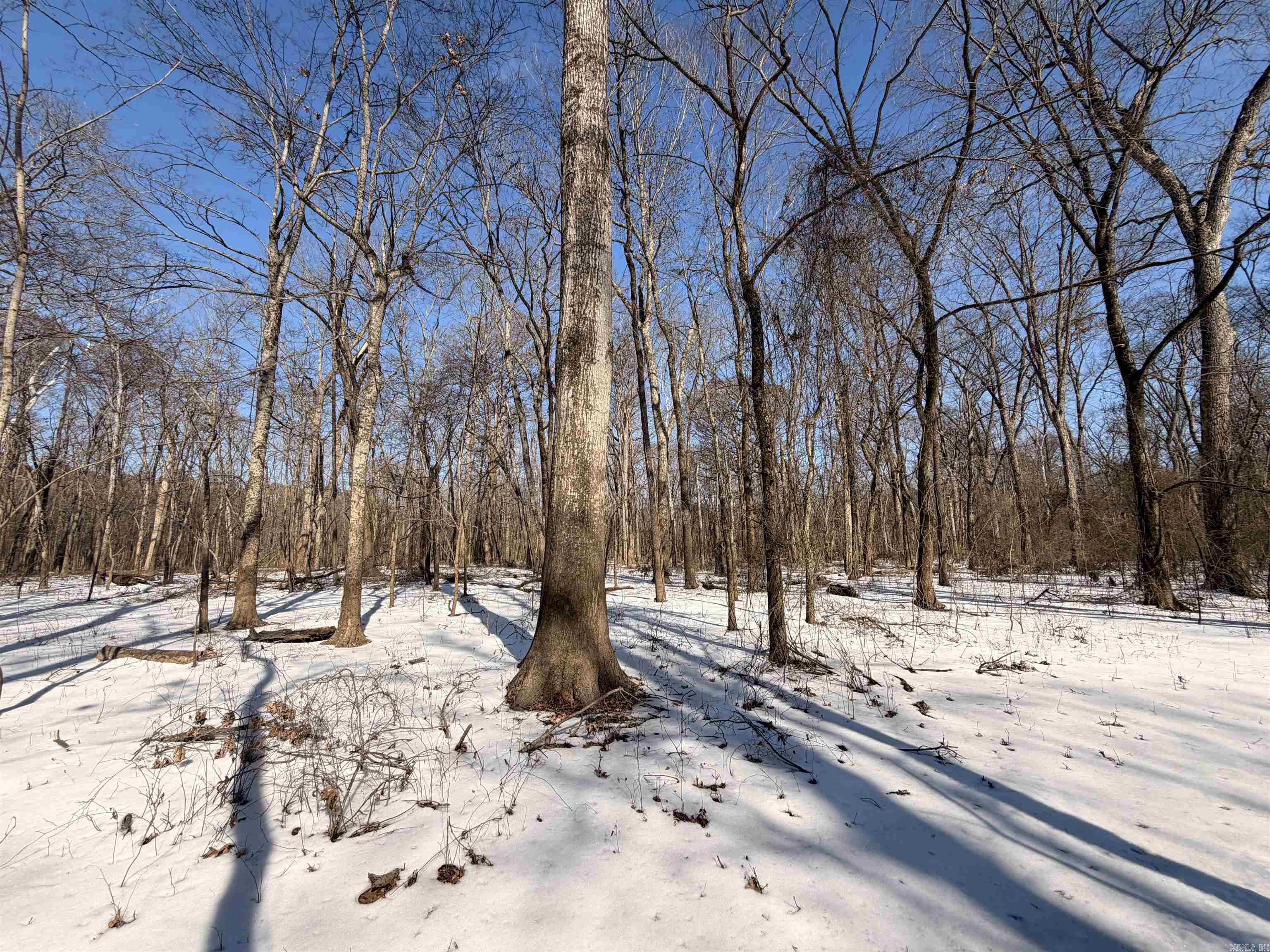 Metes & Bounds - Land