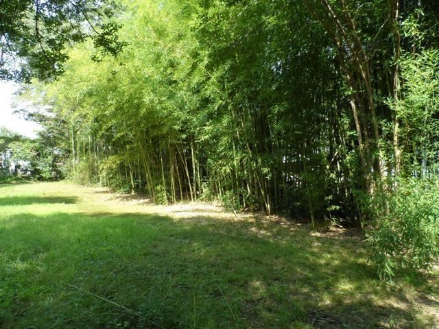 Fairdale - Residential