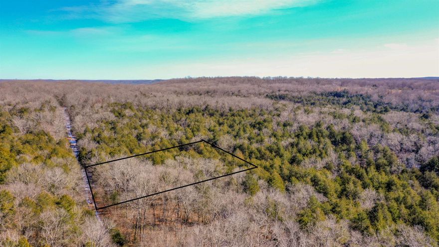 Beautiful wooded lot offering privacy and a true Ozark feel. Located just minutes from the Harold E. Alexander Public Hunting Reserve, this property is ideal for outdoor enthusiasts. Enjoy nearby access to the Strawberry River and the Spring River, perfect for fishing, floating, and recreation. A great spot for a getaway, hunting base, or future cabin retreat. (Lot 21)