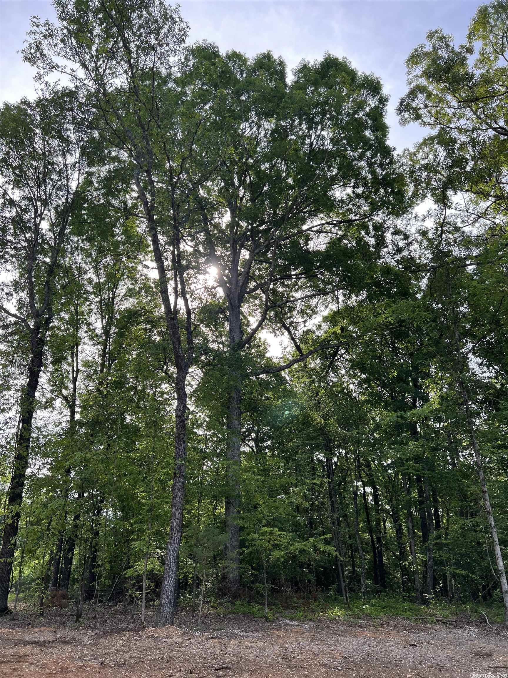 BIG ROCK ESTATES - Land