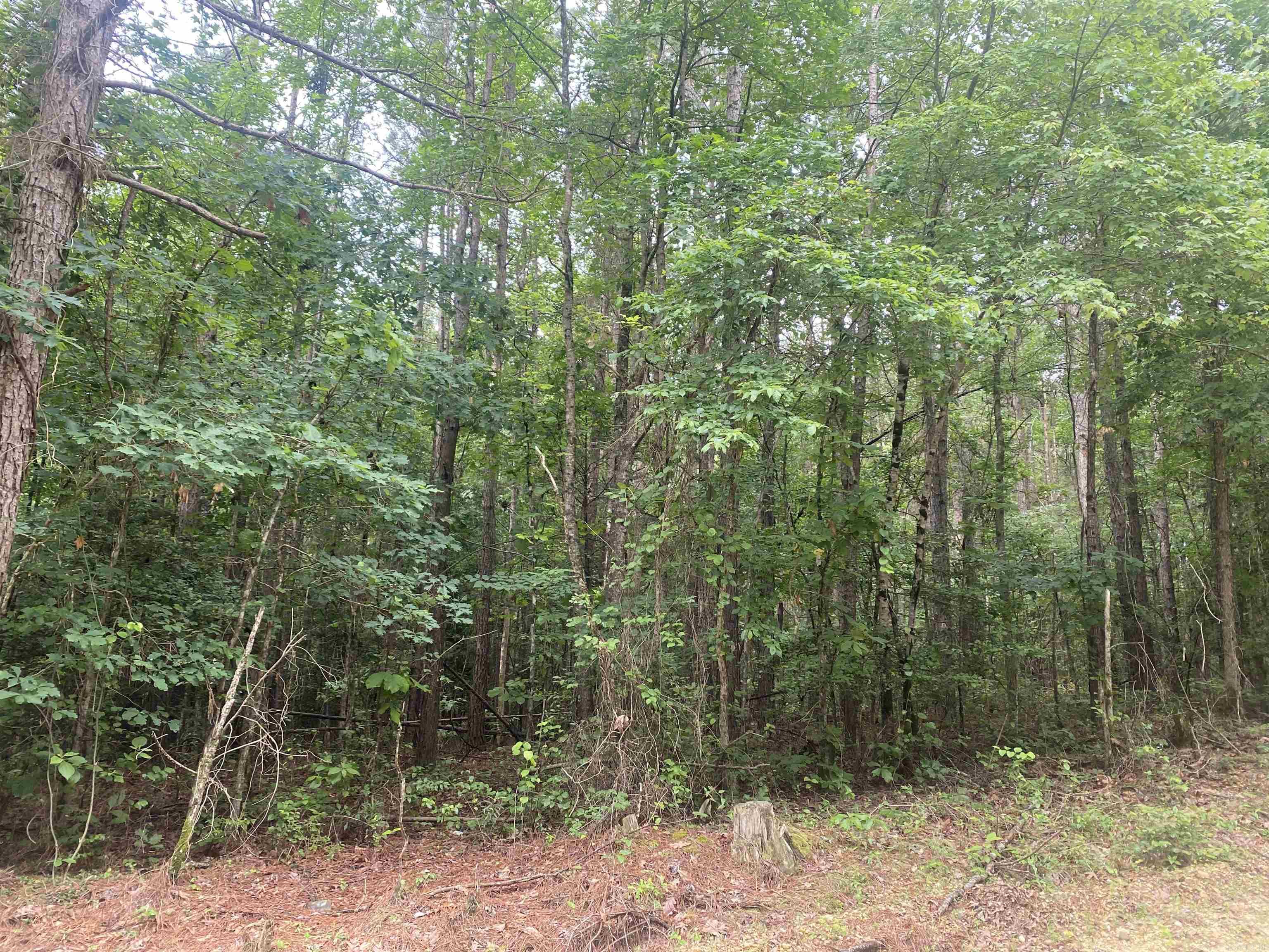 Metes & Bounds - Land