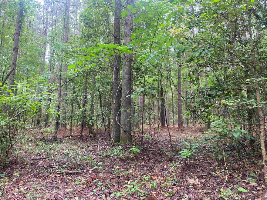 Country Living at its finest... a beautiful, wooded 9.93 acres +/-. Just a few minutes away from Benton and would be a great property to build that Dream Home.