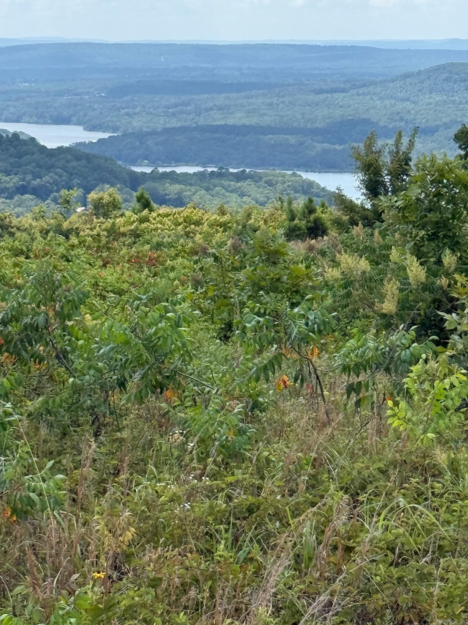 This 3.19 acre lot overlooks Greers Ferry Lake at Choctaw. No white line. You can cut and clean all the way to the lake for a better view. It is completely fenced with gate. Beautiful spot to build your dream home. All kinds of wildlife. Existing Perk Test and Survey available.